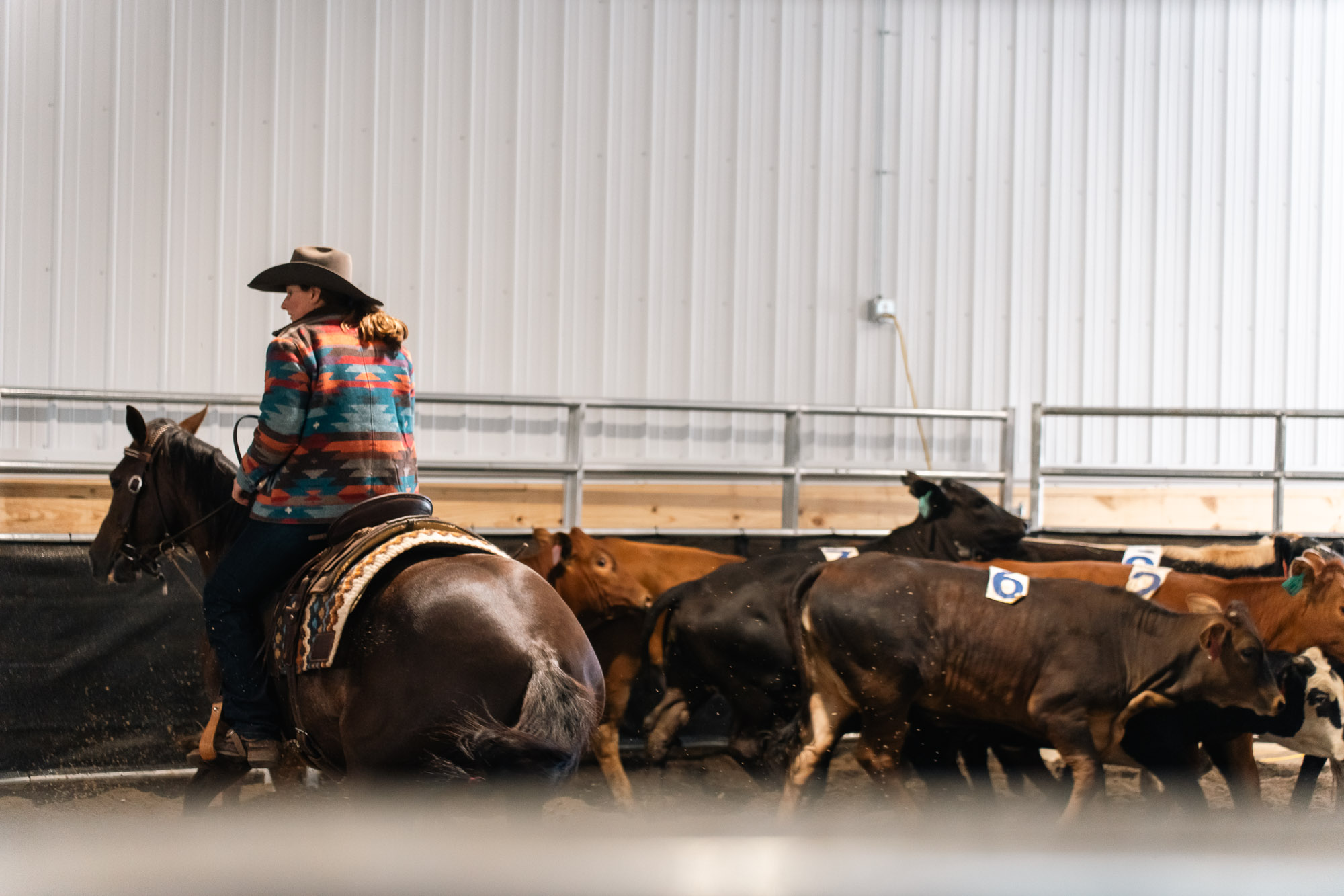 Double L Ranch Ranch Sorting Event - Photo #12