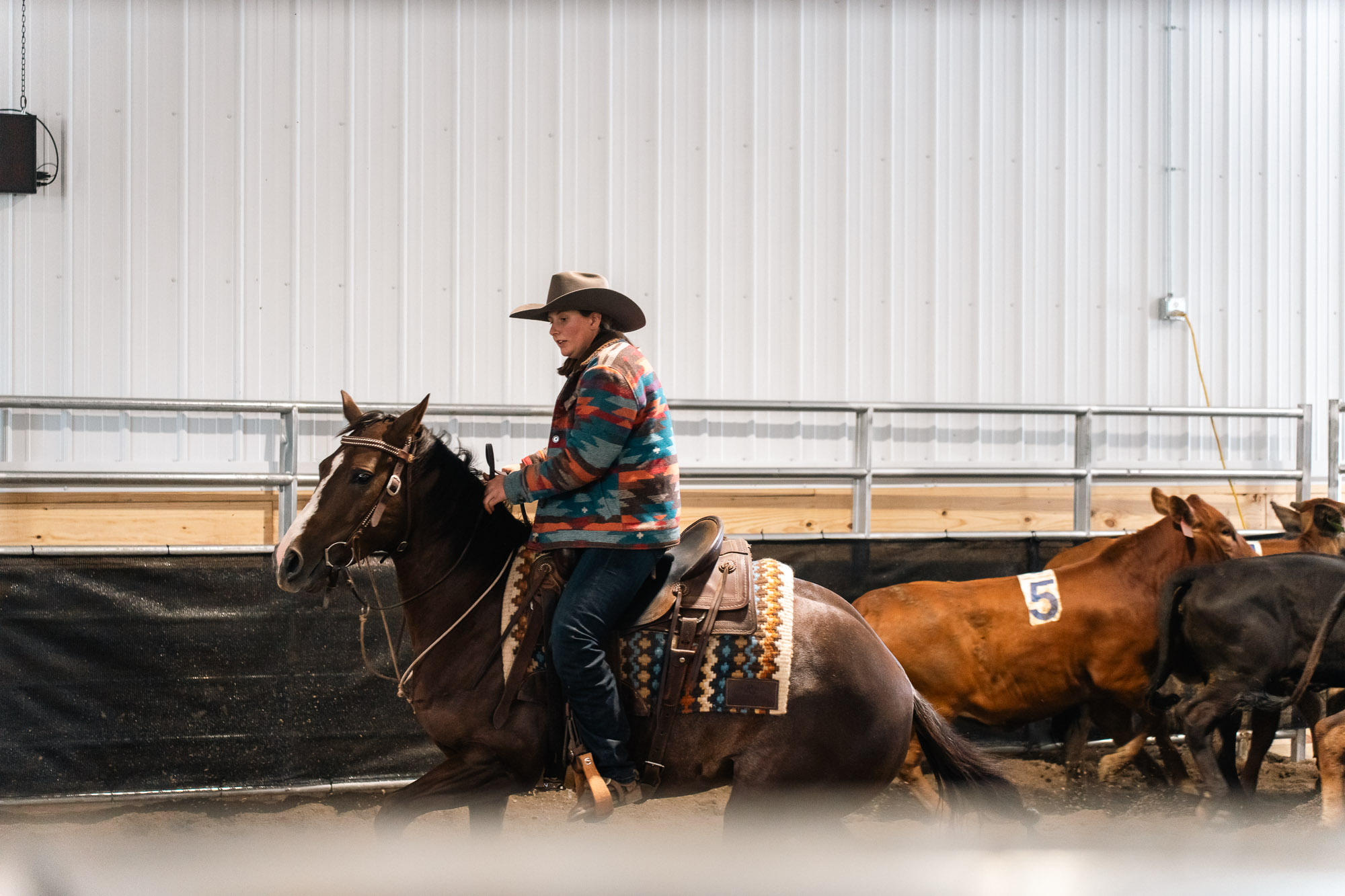 Double L Ranch Ranch Sorting Event - Photo #13