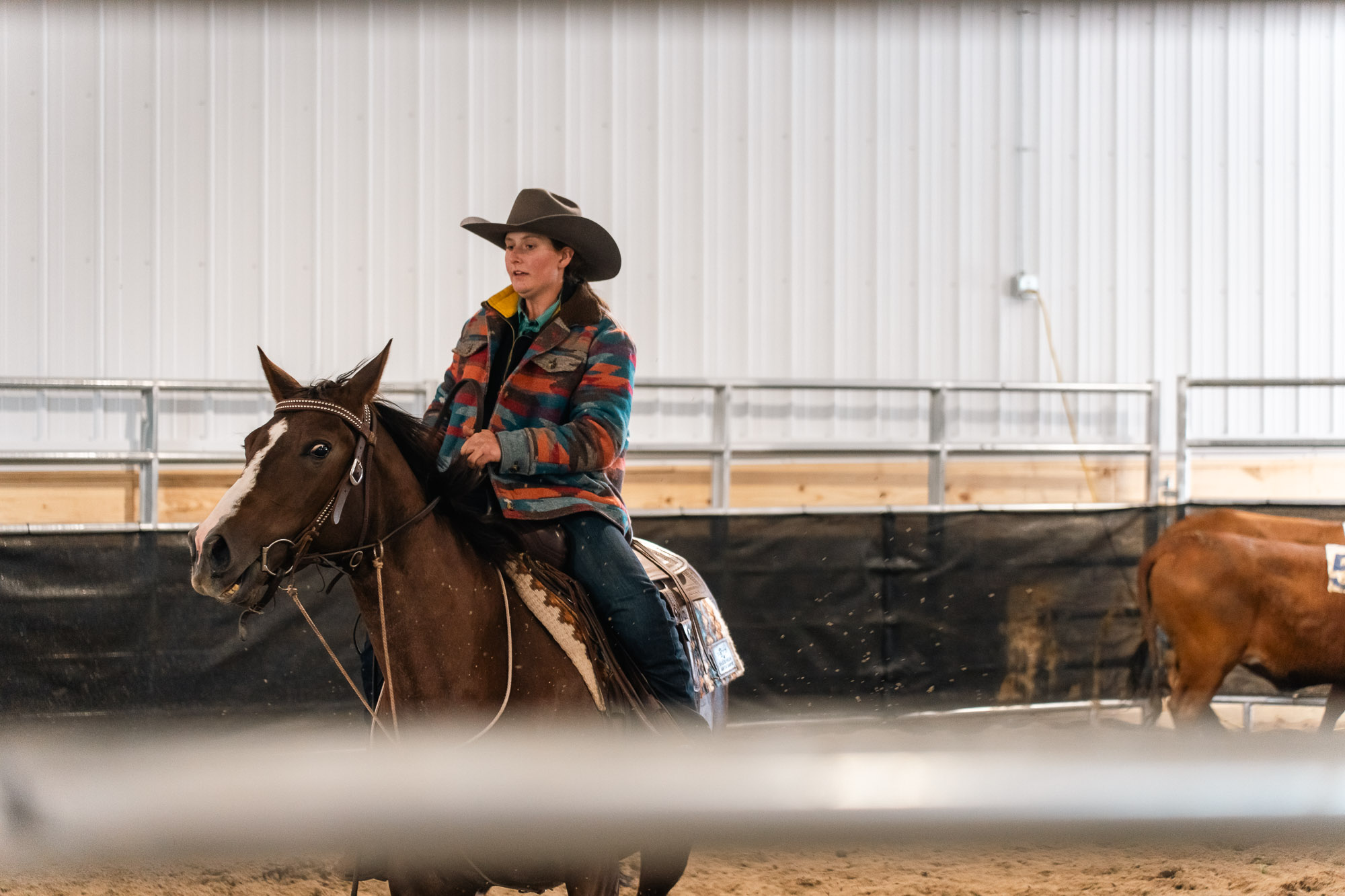 Double L Ranch Ranch Sorting Event - Photo #15