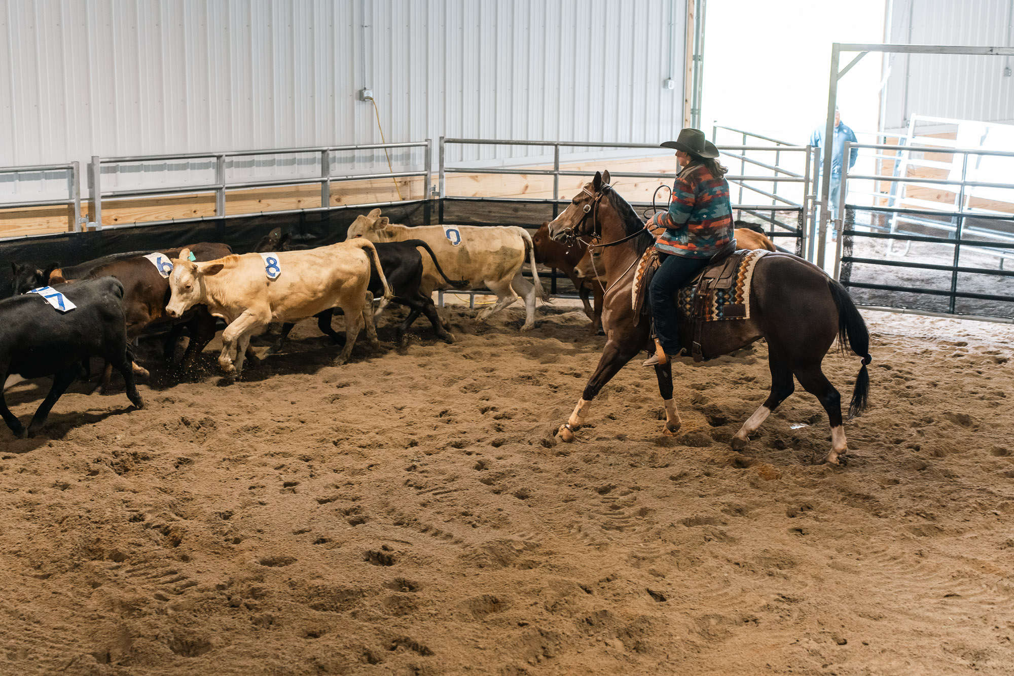 Double L Ranch Ranch Sorting Event - Photo #16