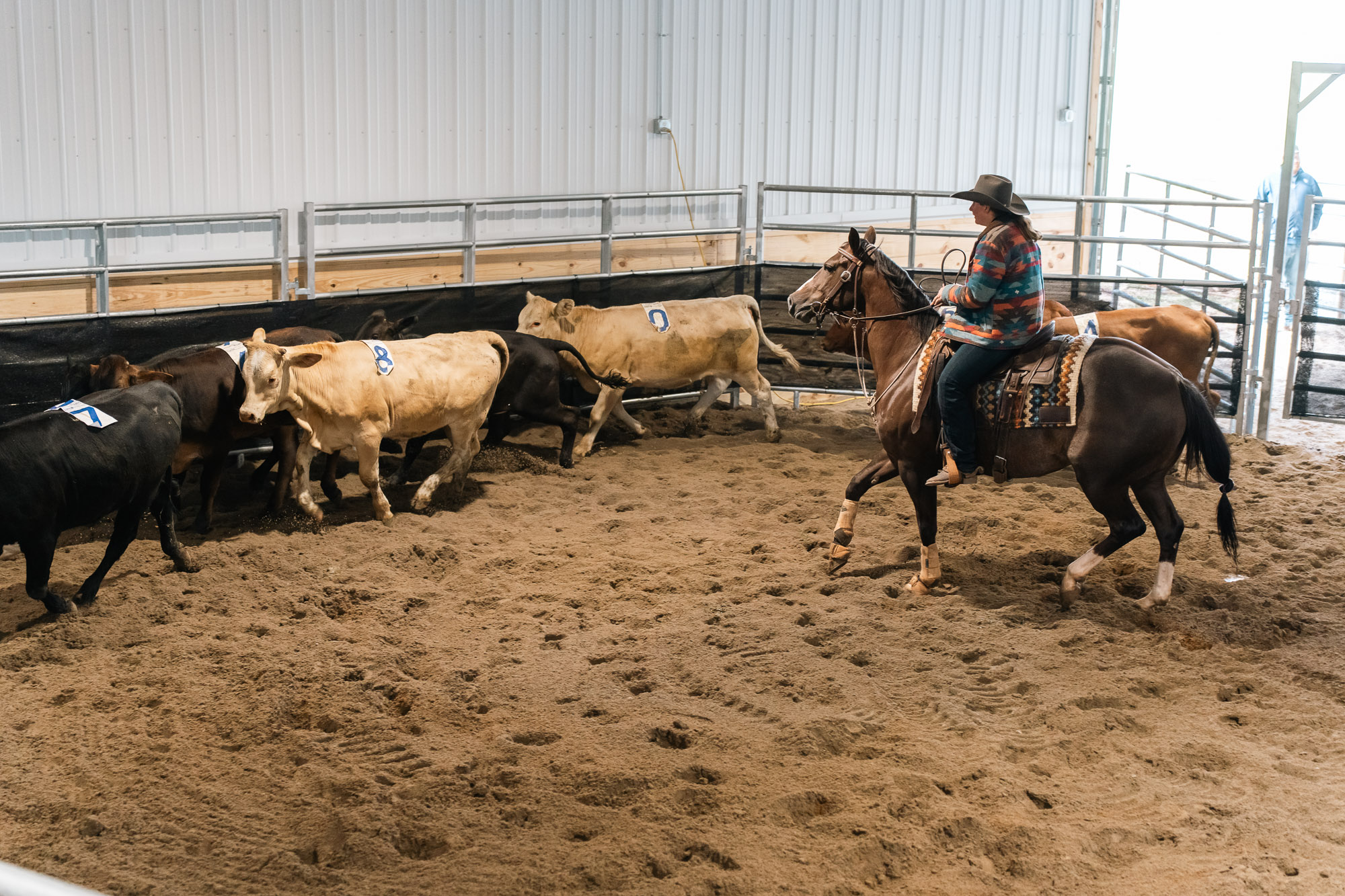 Double L Ranch Ranch Sorting Event - Photo #17