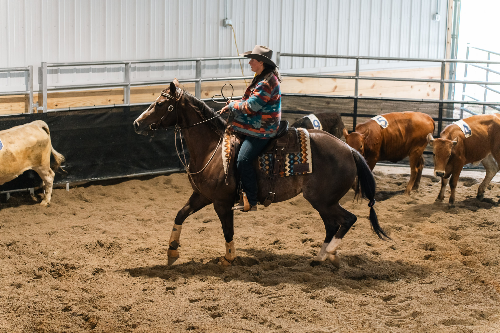 Double L Ranch Ranch Sorting Event - Photo #18
