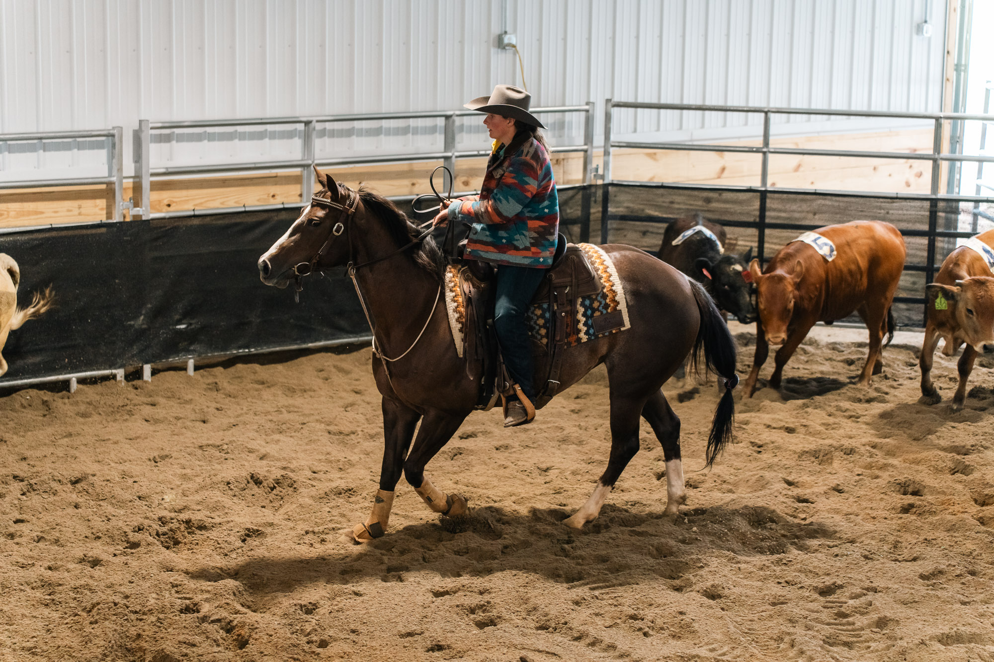 Double L Ranch Ranch Sorting Event - Photo #19
