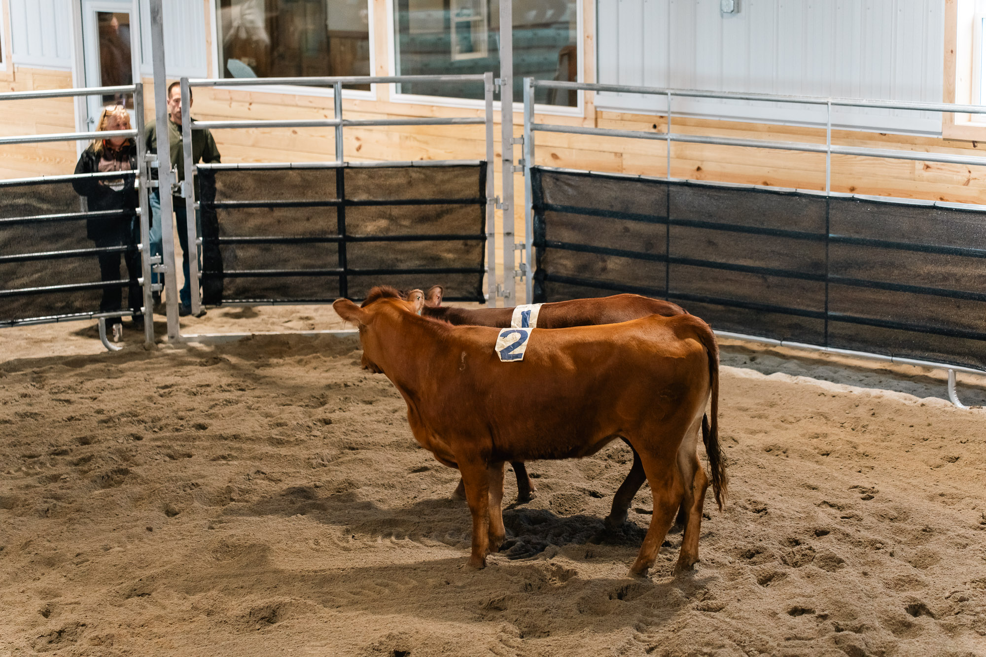 Double L Ranch Ranch Sorting Event - Photo #28