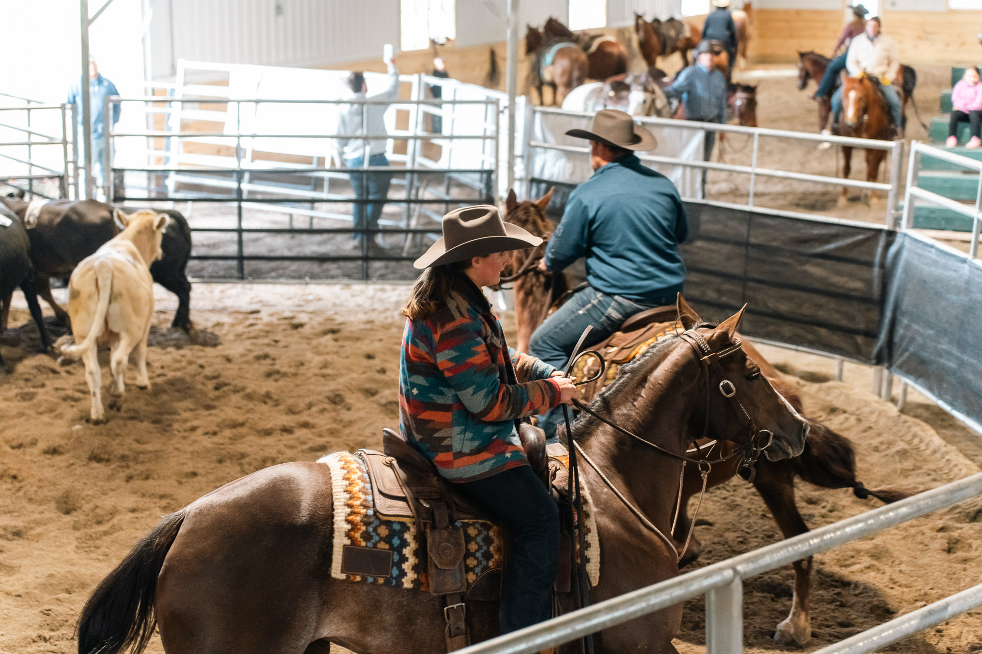 Double L Ranch Ranch Sorting Event - Photo #29