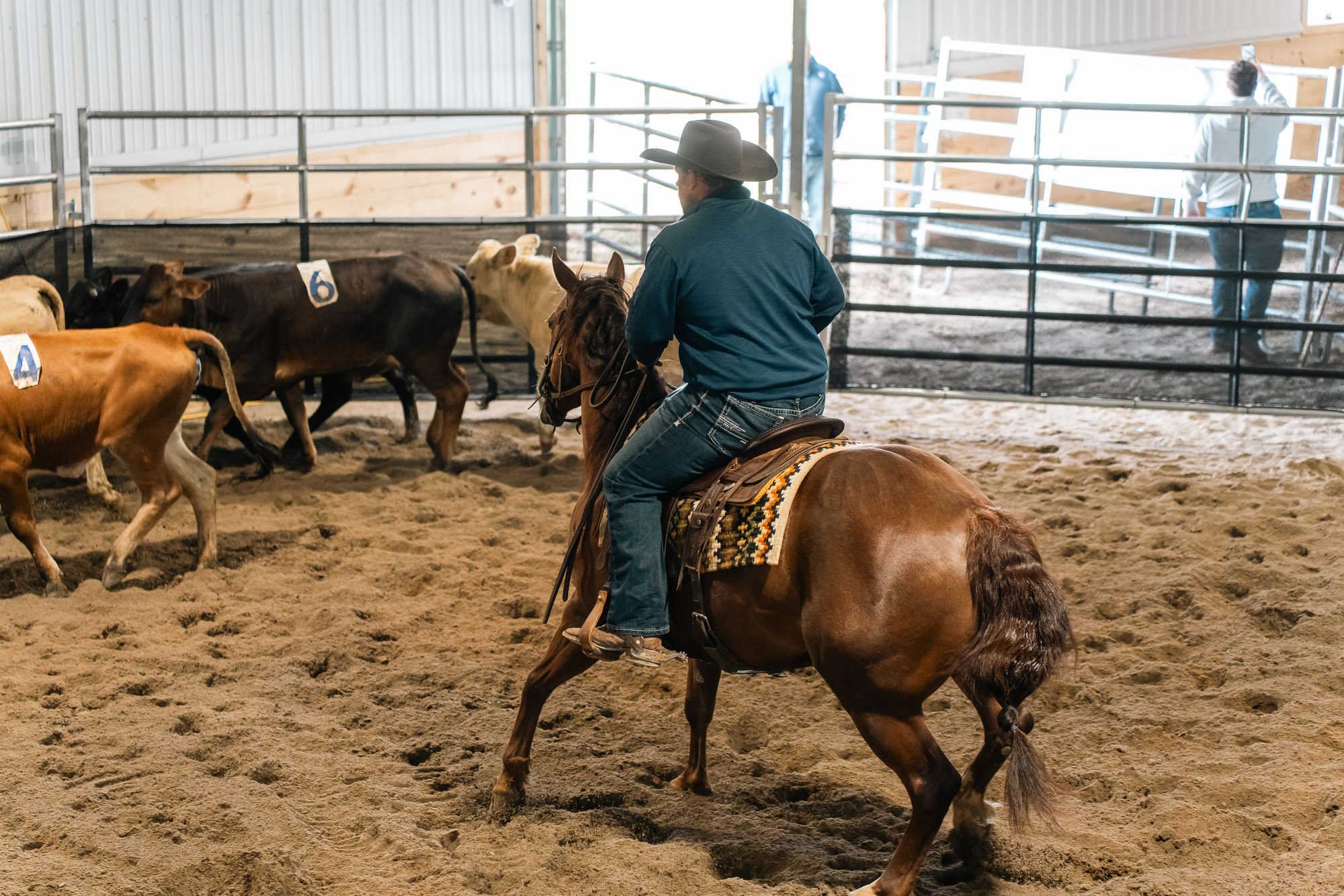 Double L Ranch Ranch Sorting Event - Photo #31