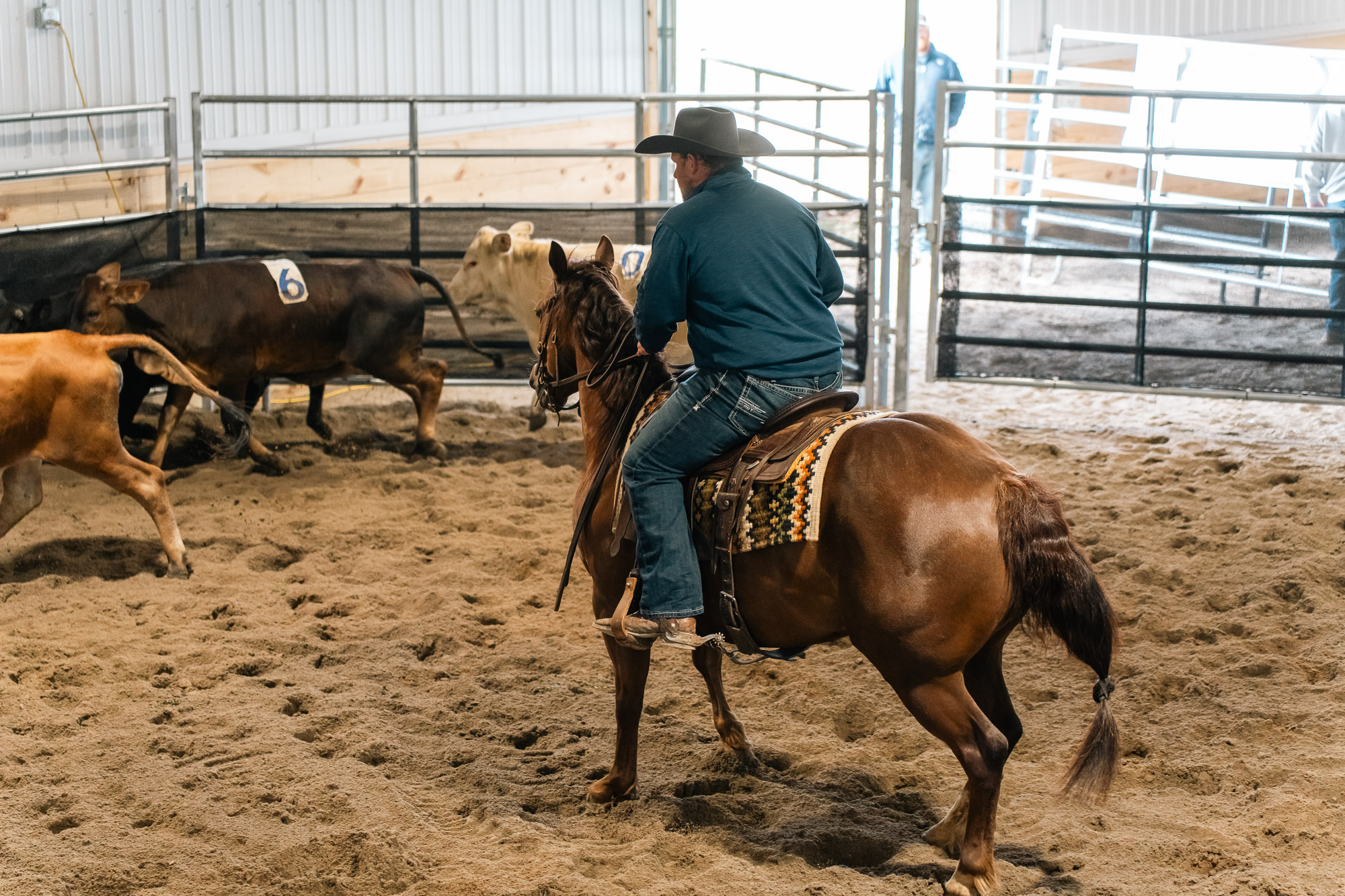 Double L Ranch Ranch Sorting Event - Photo #32