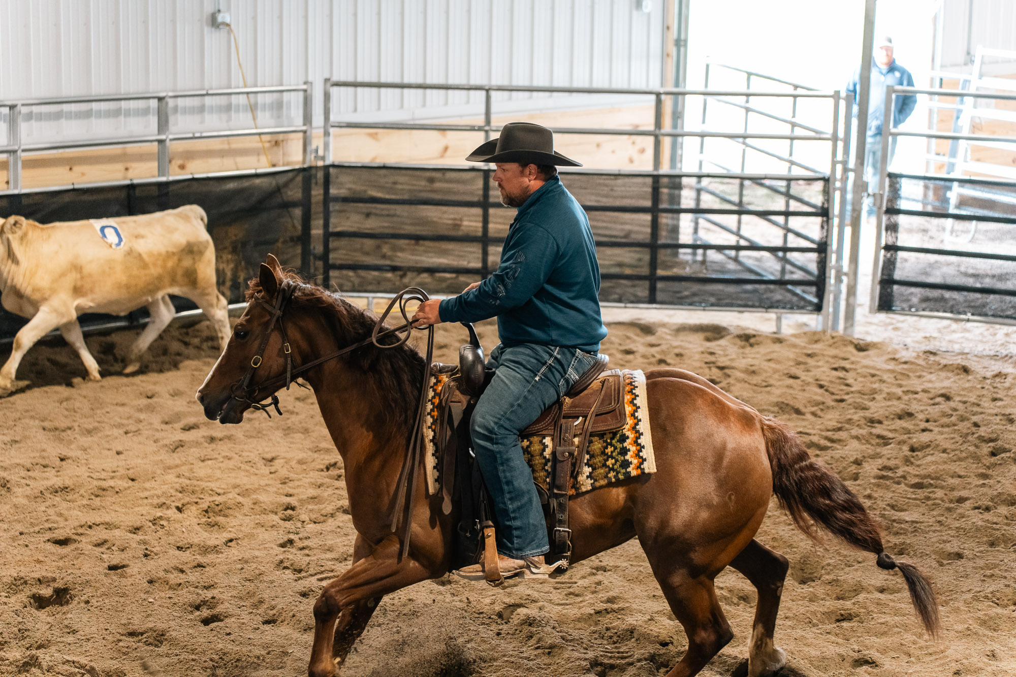 Double L Ranch Ranch Sorting Event - Photo #33