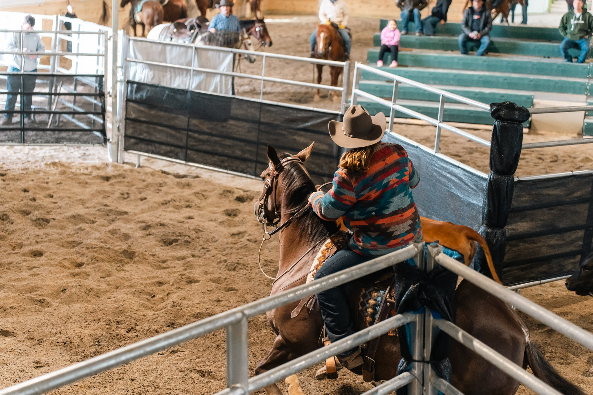 Double L Ranch Ranch Sorting Event - Photo #36