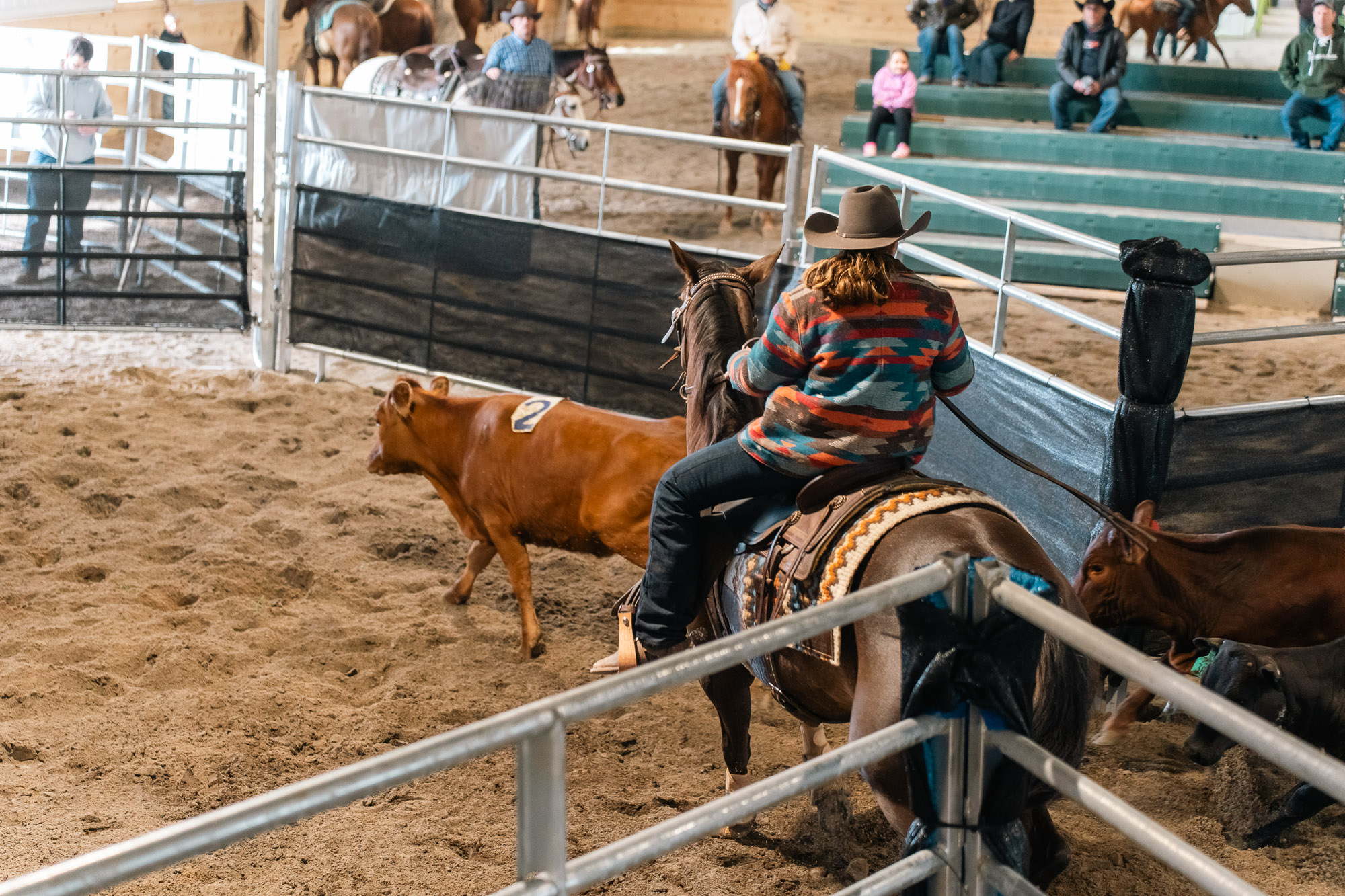 Double L Ranch Ranch Sorting Event - Photo #37