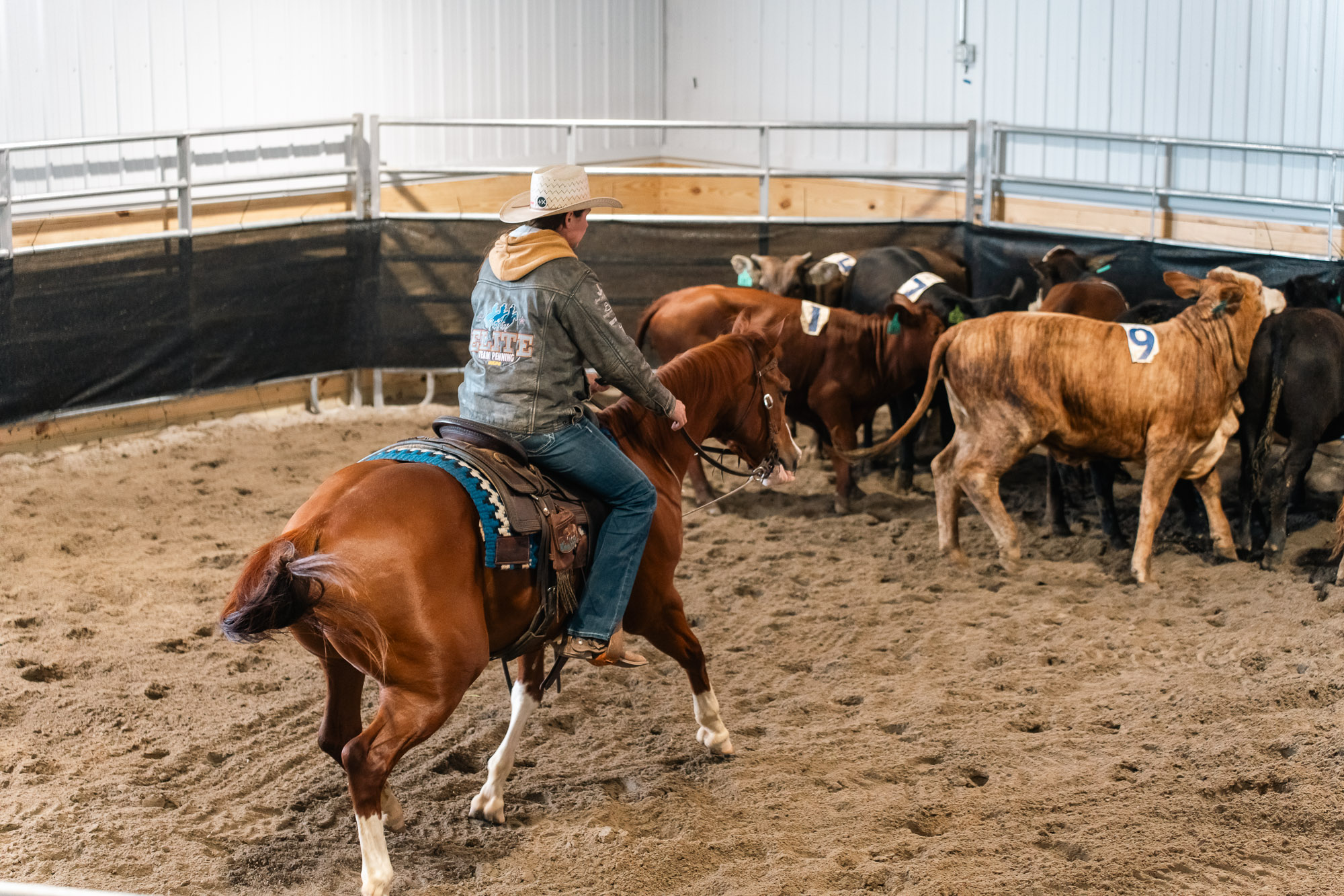 Double L Ranch Ranch Sorting Event - Photo #46