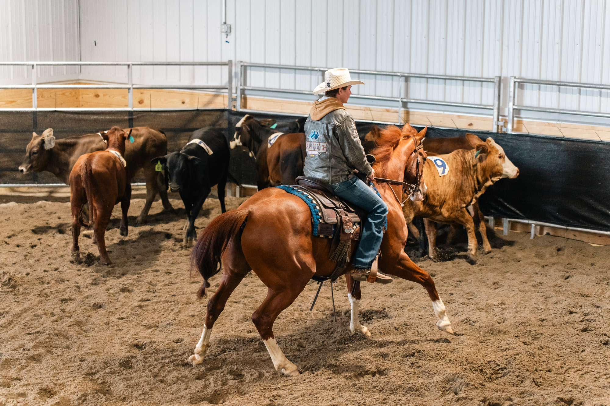 Double L Ranch Ranch Sorting Event - Photo #48