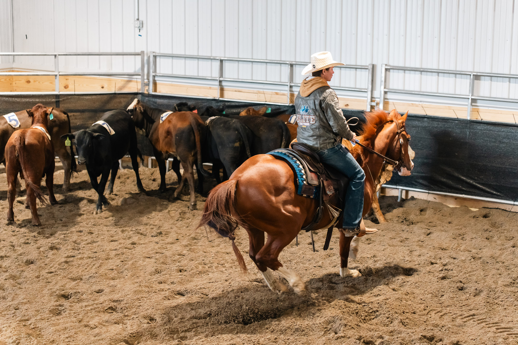 Double L Ranch Ranch Sorting Event - Photo #49