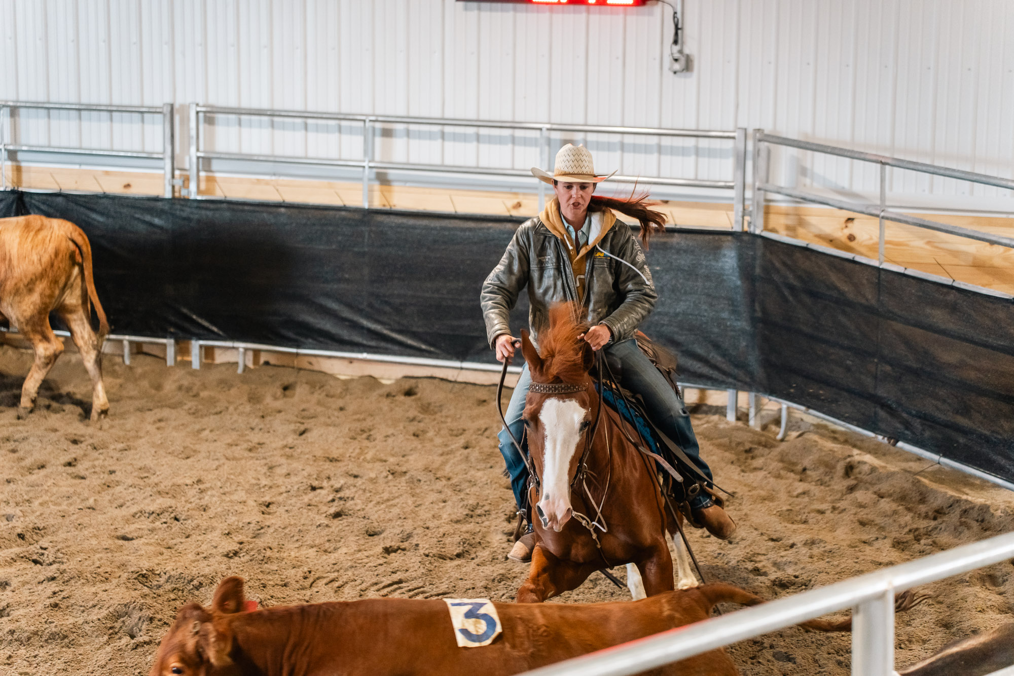 Double L Ranch Ranch Sorting Event - Photo #50
