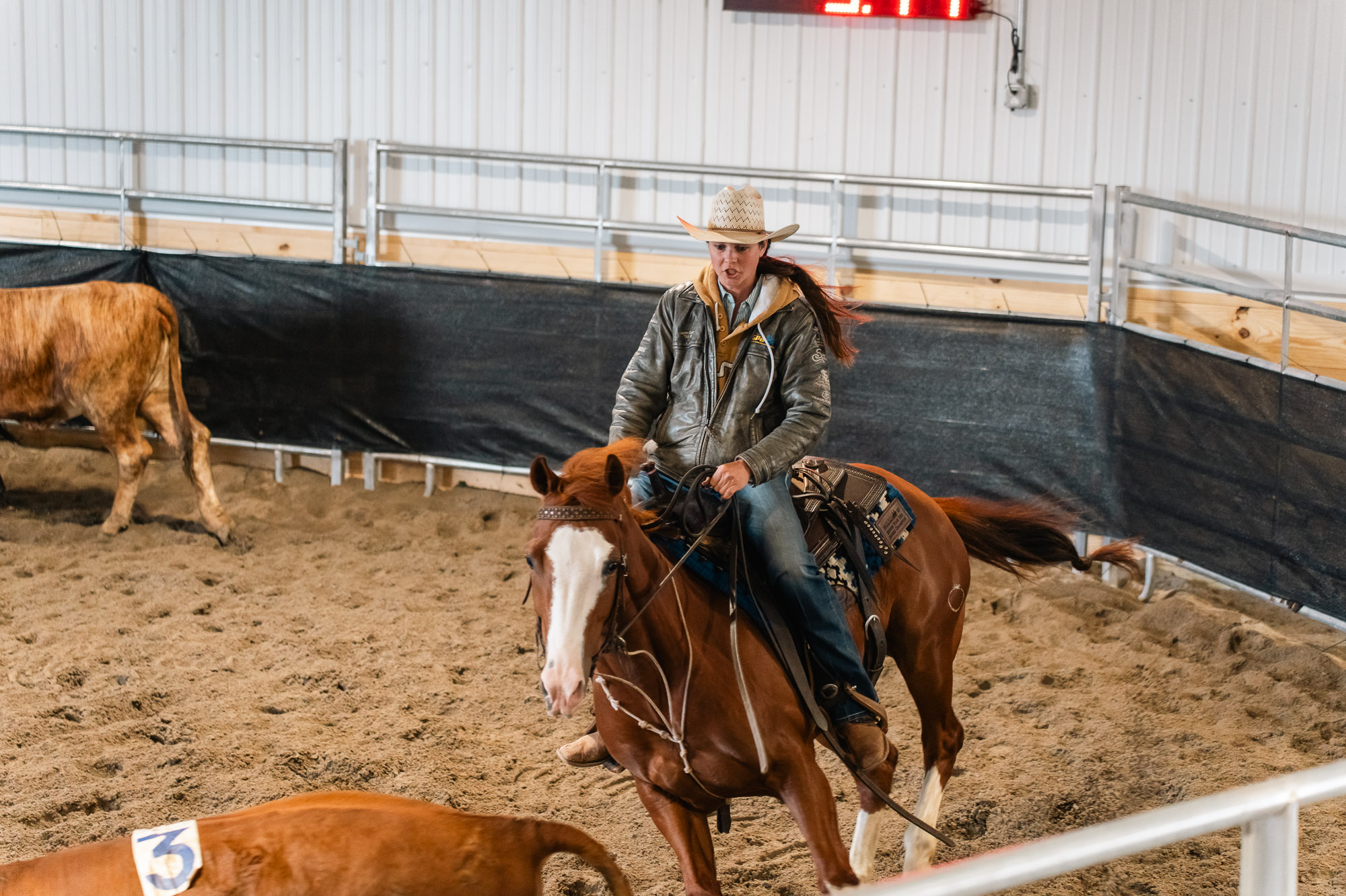 Double L Ranch Ranch Sorting Event - Photo #51