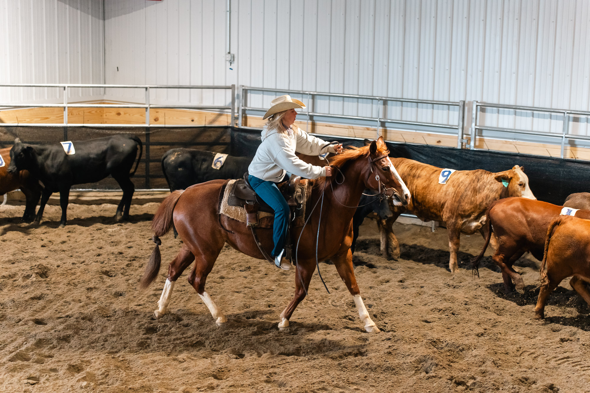 Double L Ranch Ranch Sorting Event - Photo #54