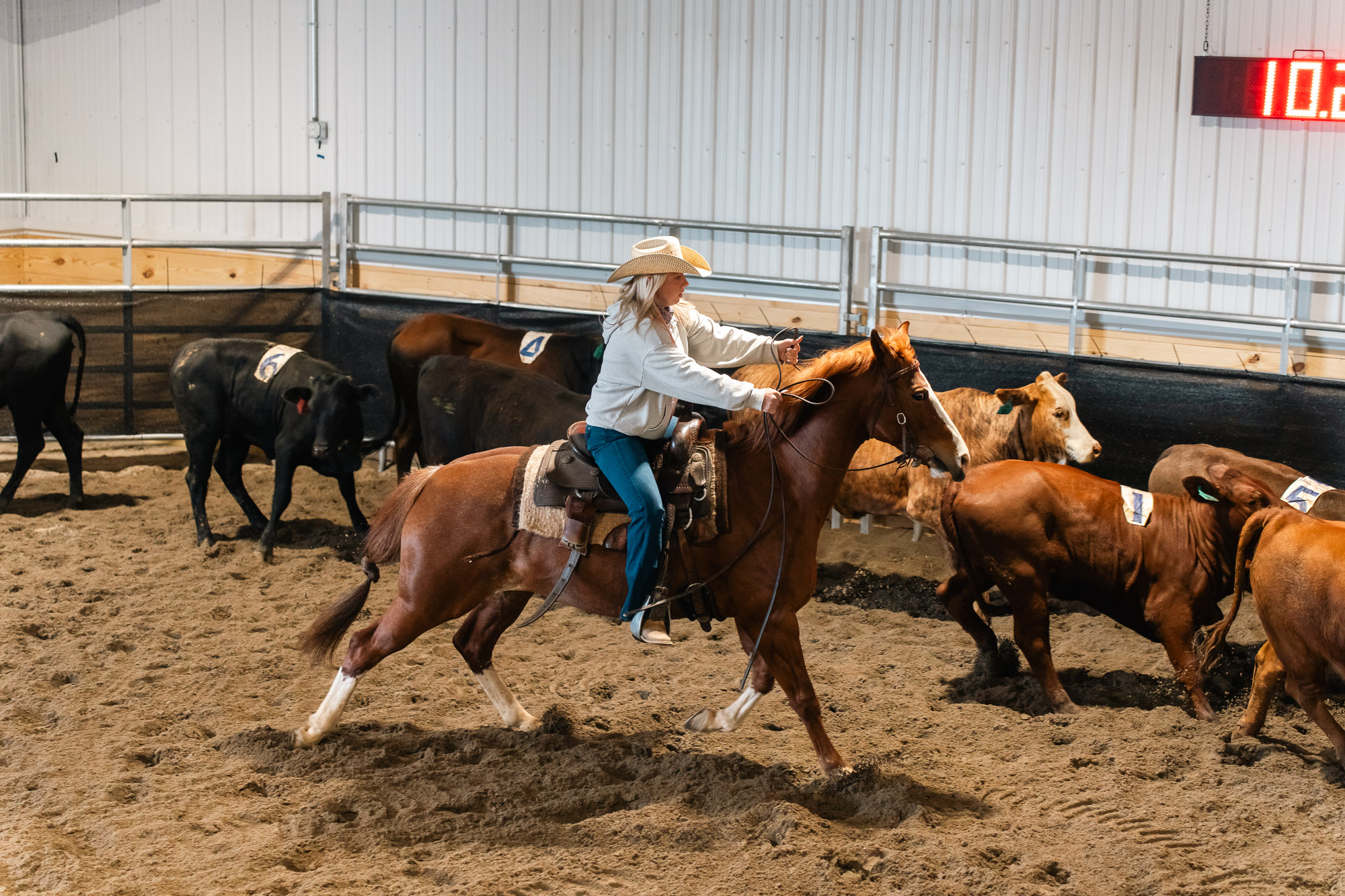 Double L Ranch Ranch Sorting Event - Photo #55