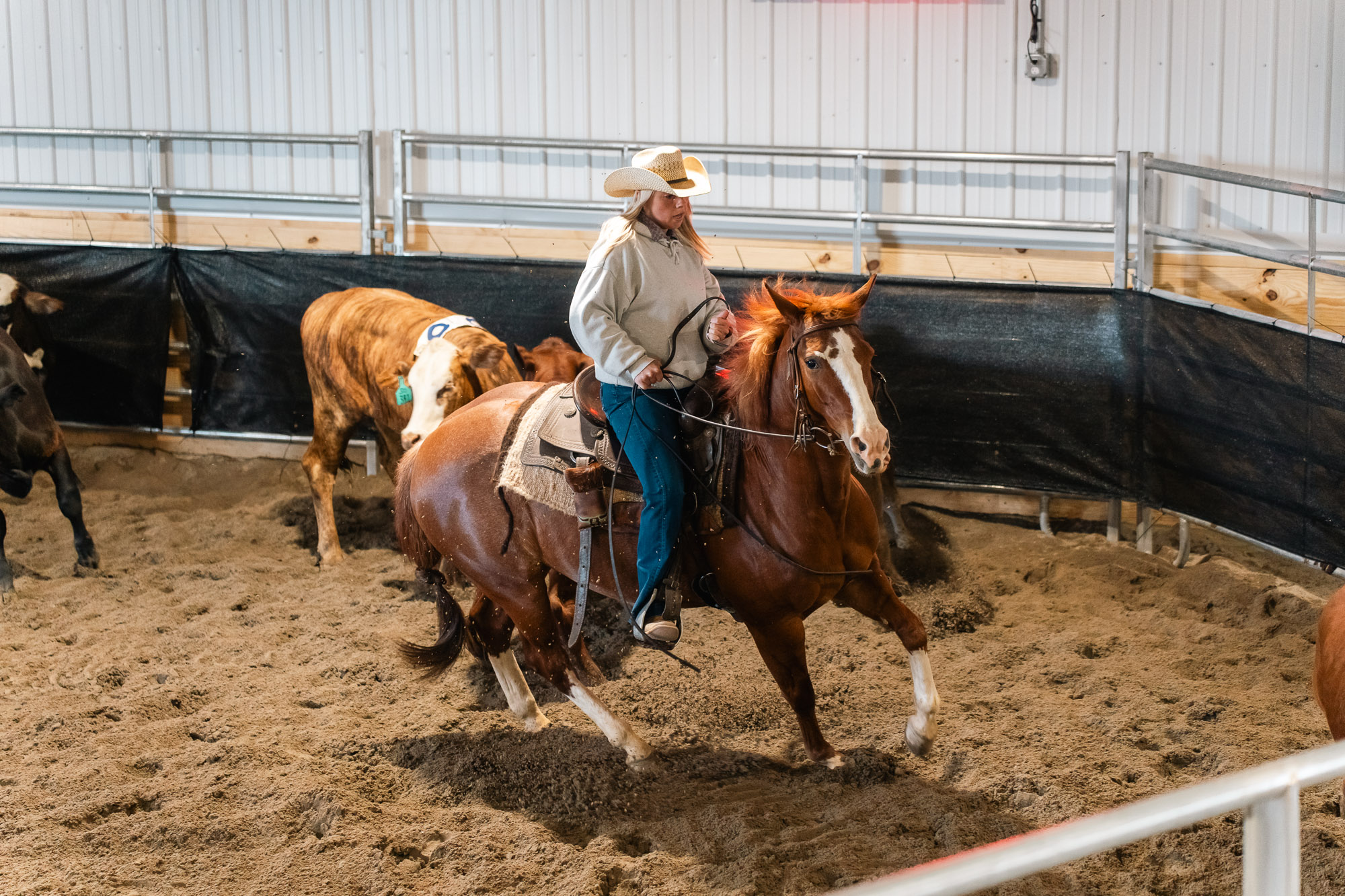 Double L Ranch Ranch Sorting Event - Photo #56
