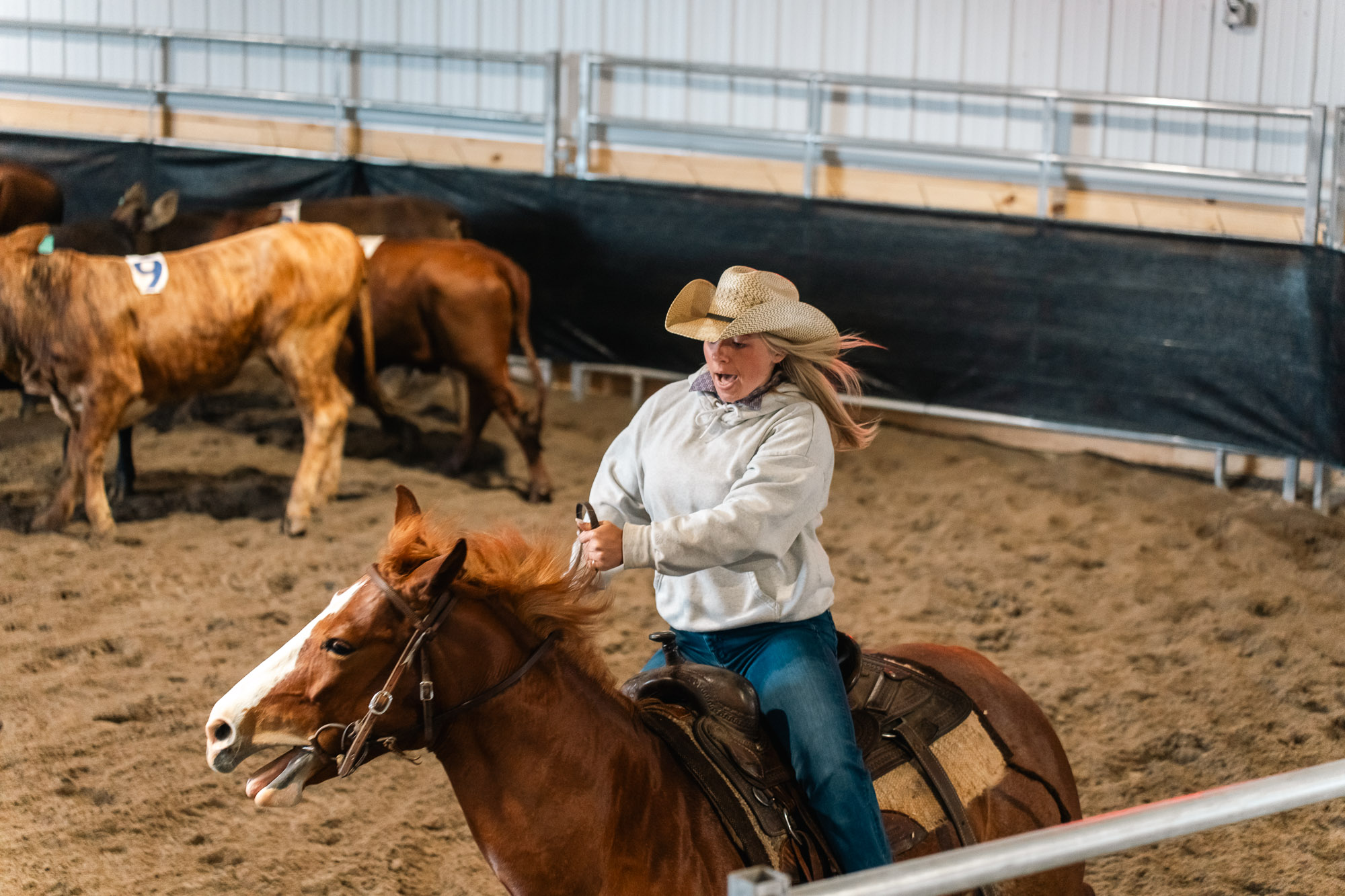 Double L Ranch Ranch Sorting Event - Photo #57