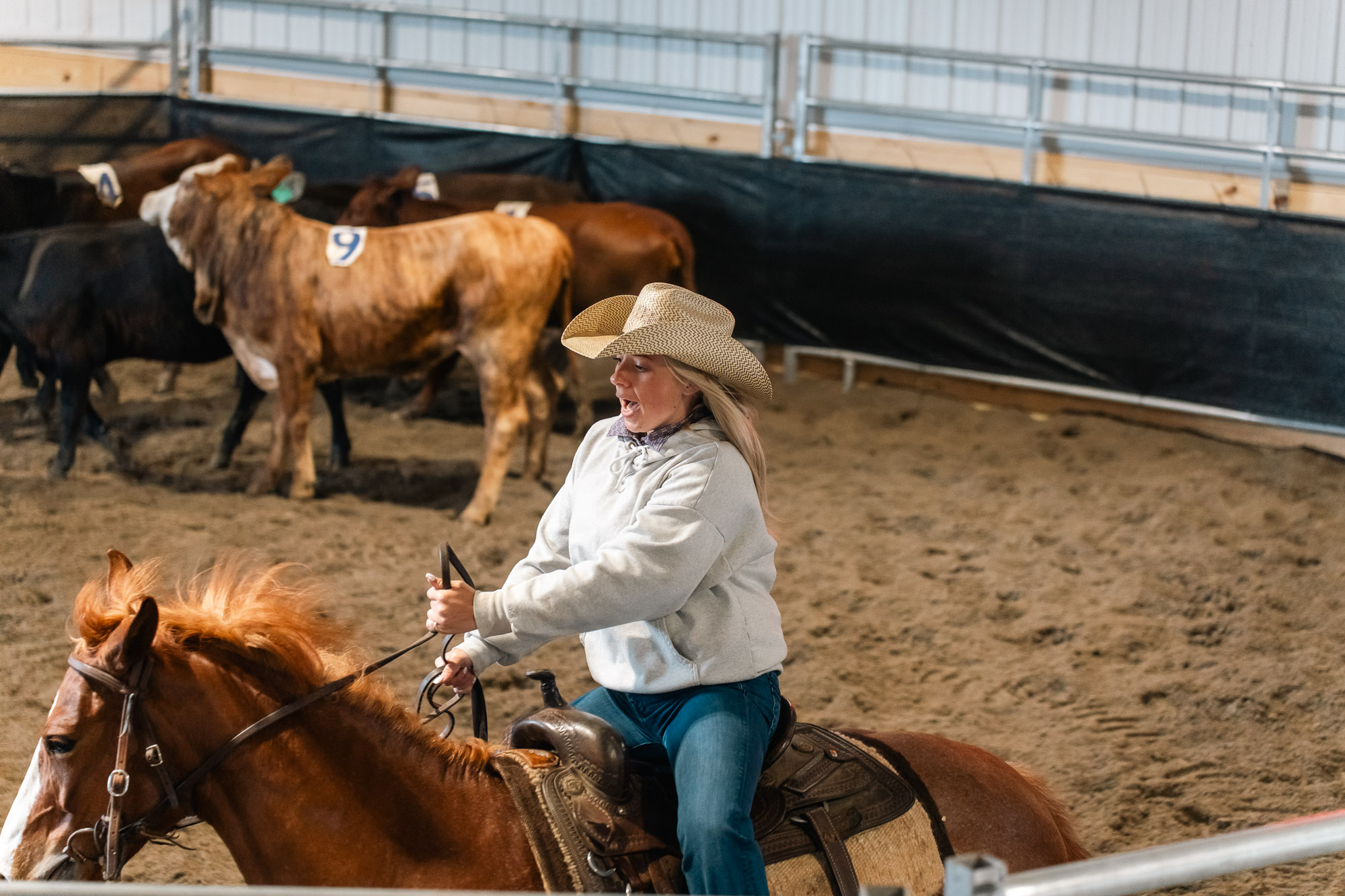 Double L Ranch Ranch Sorting Event - Photo #58