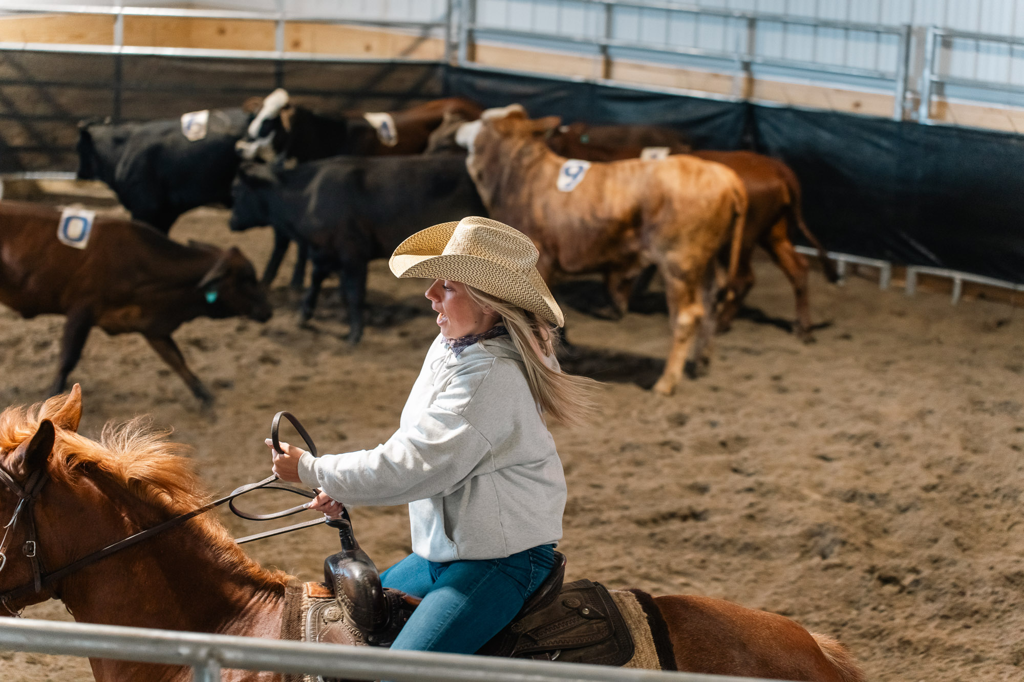 Double L Ranch Ranch Sorting Event - Photo #59