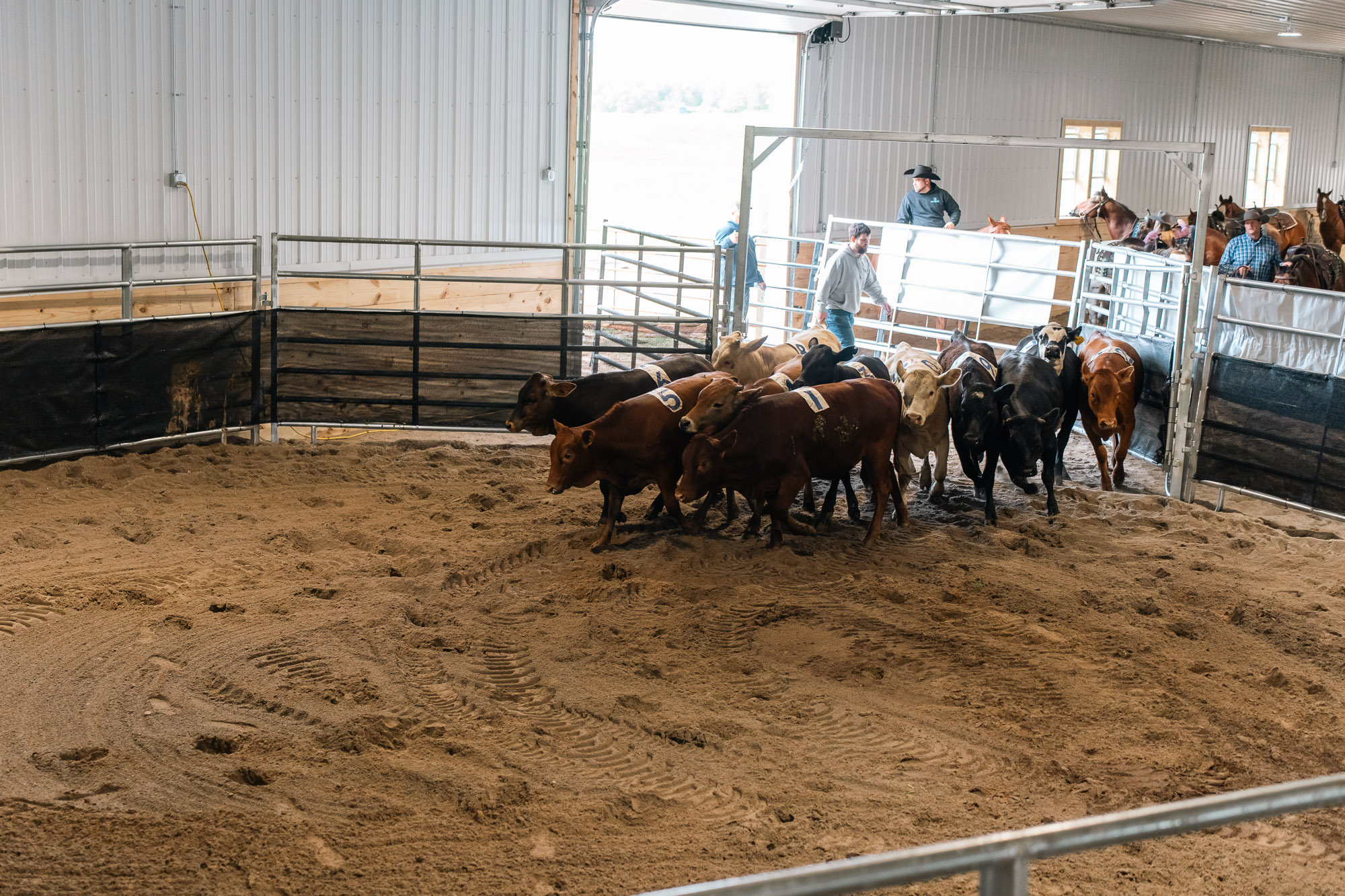 Double L Ranch Ranch Sorting Event - Photo #6