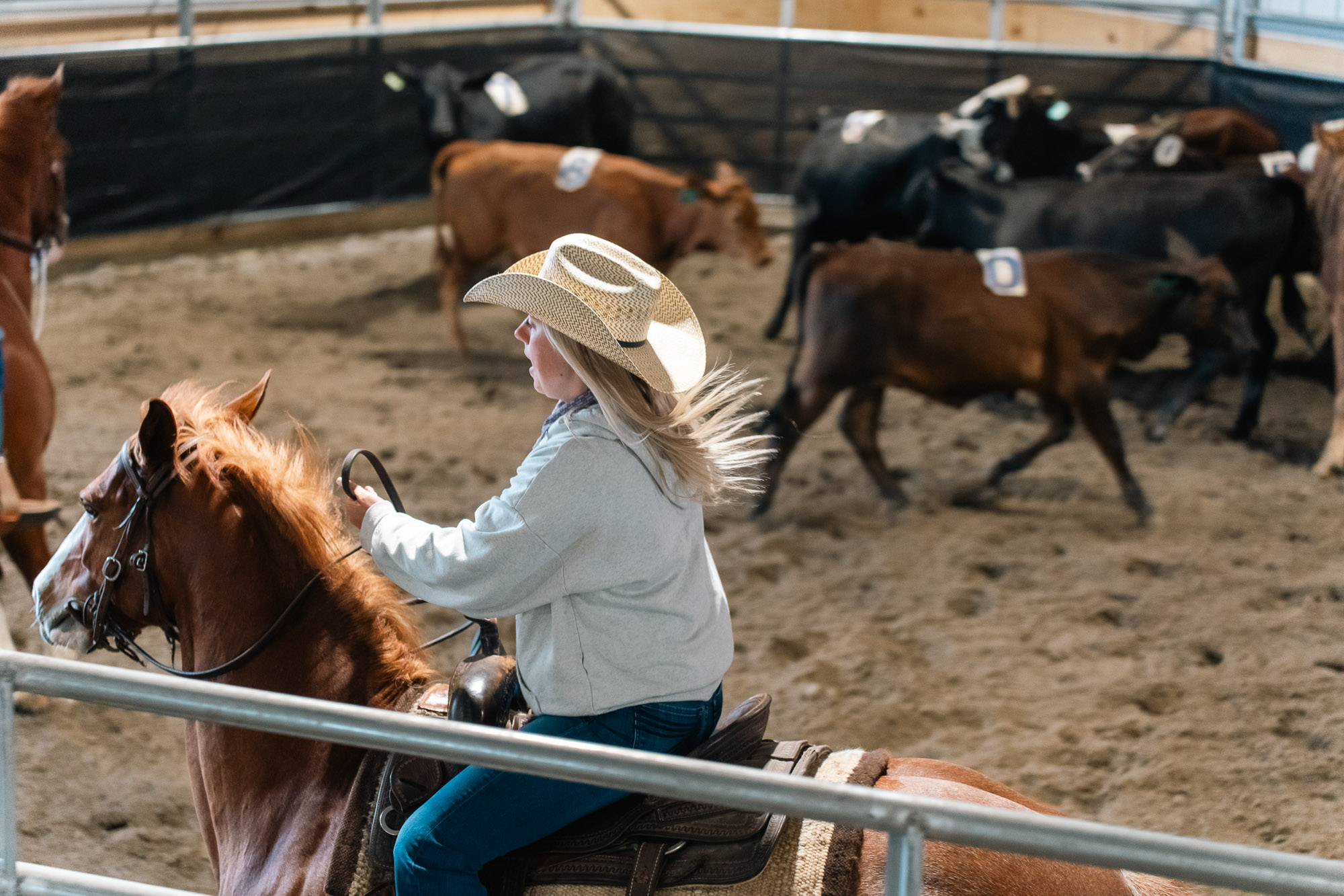 Double L Ranch Ranch Sorting Event - Photo #60