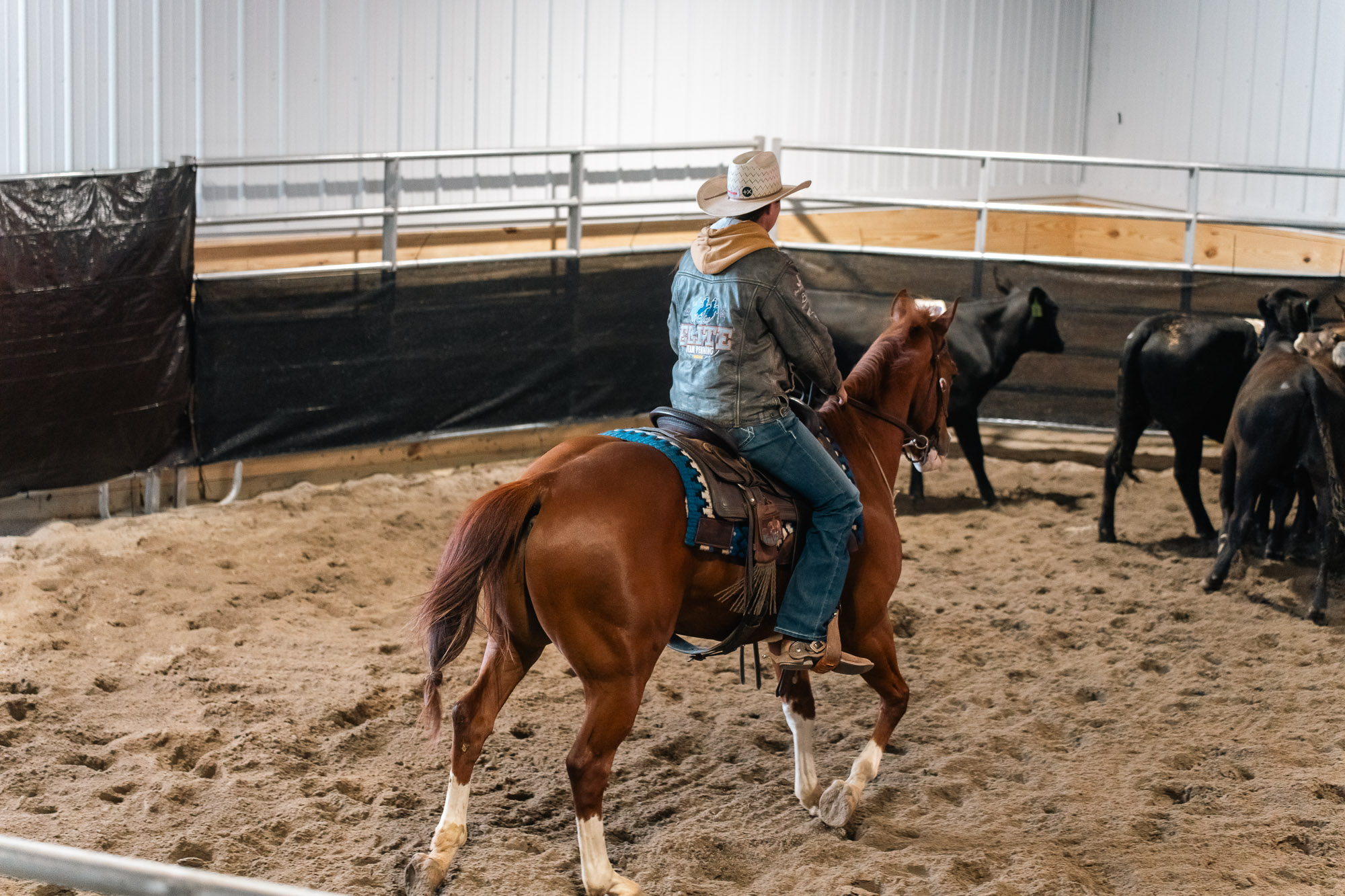 Double L Ranch Ranch Sorting Event - Photo #62