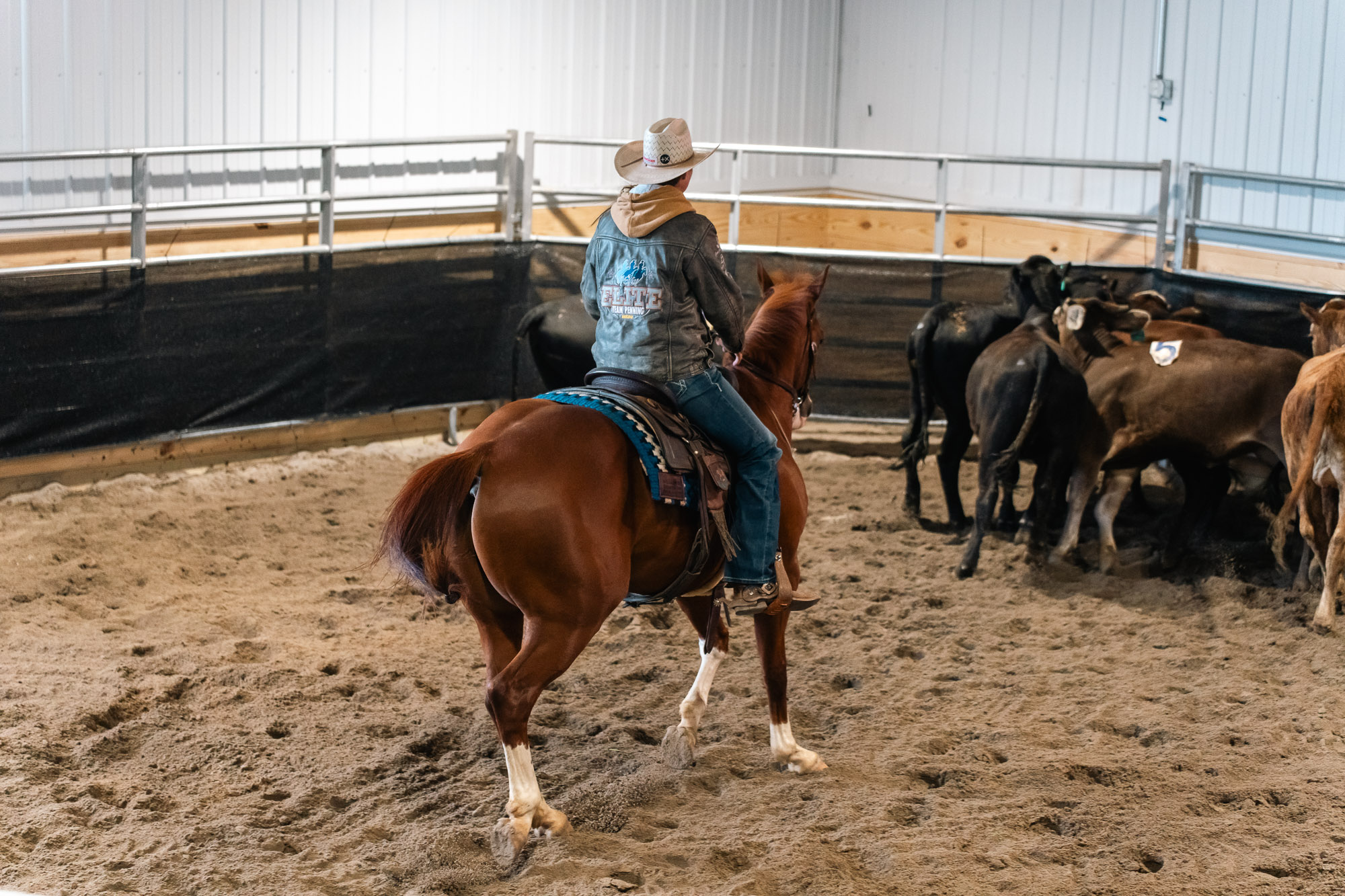Double L Ranch Ranch Sorting Event - Photo #63