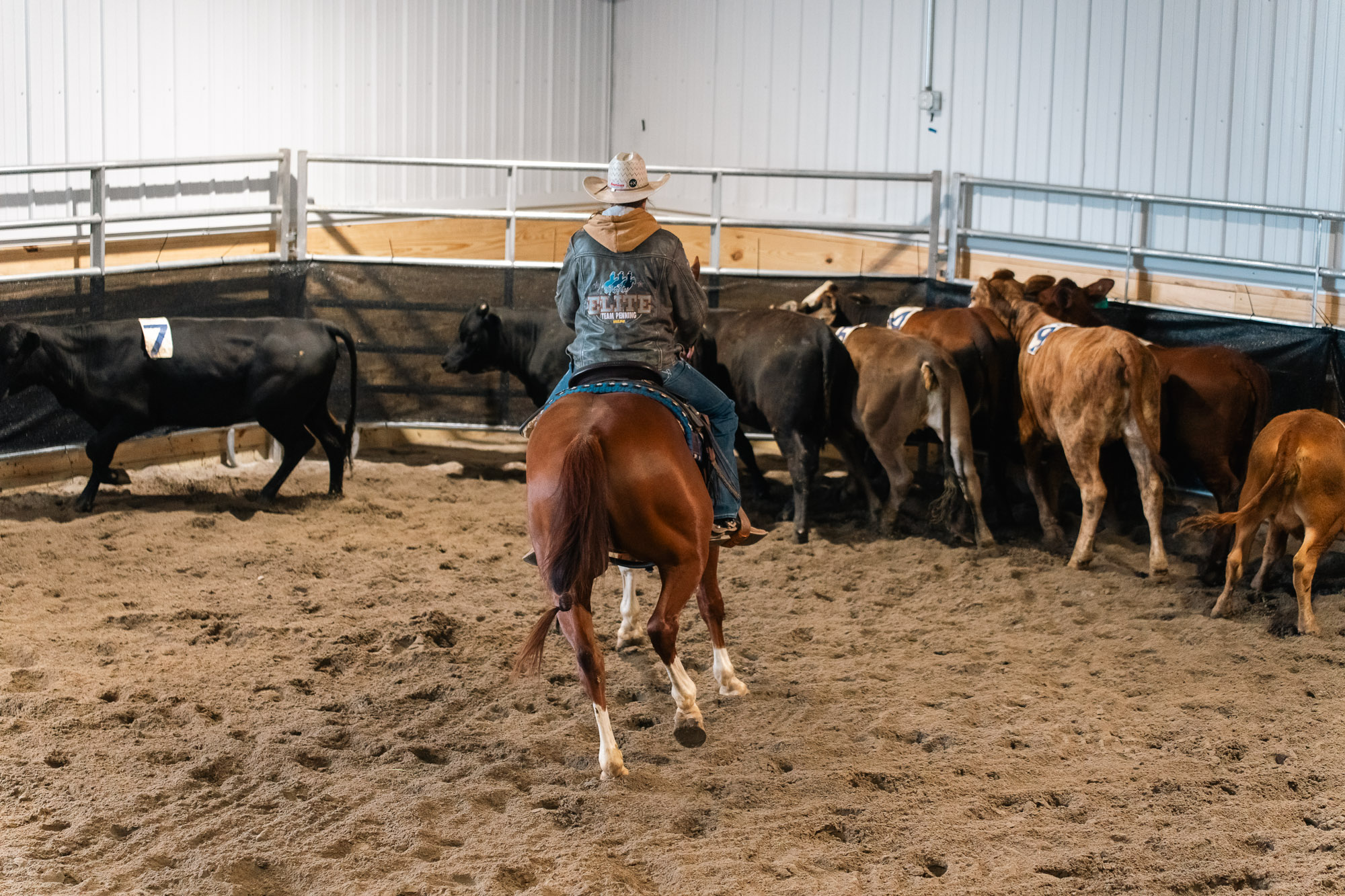 Double L Ranch Ranch Sorting Event - Photo #64