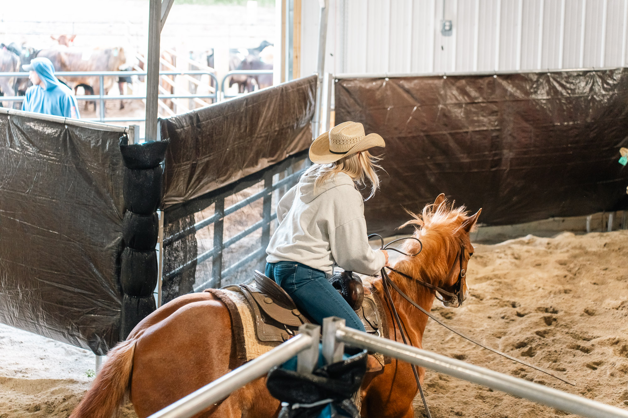 Double L Ranch Ranch Sorting Event - Photo #65
