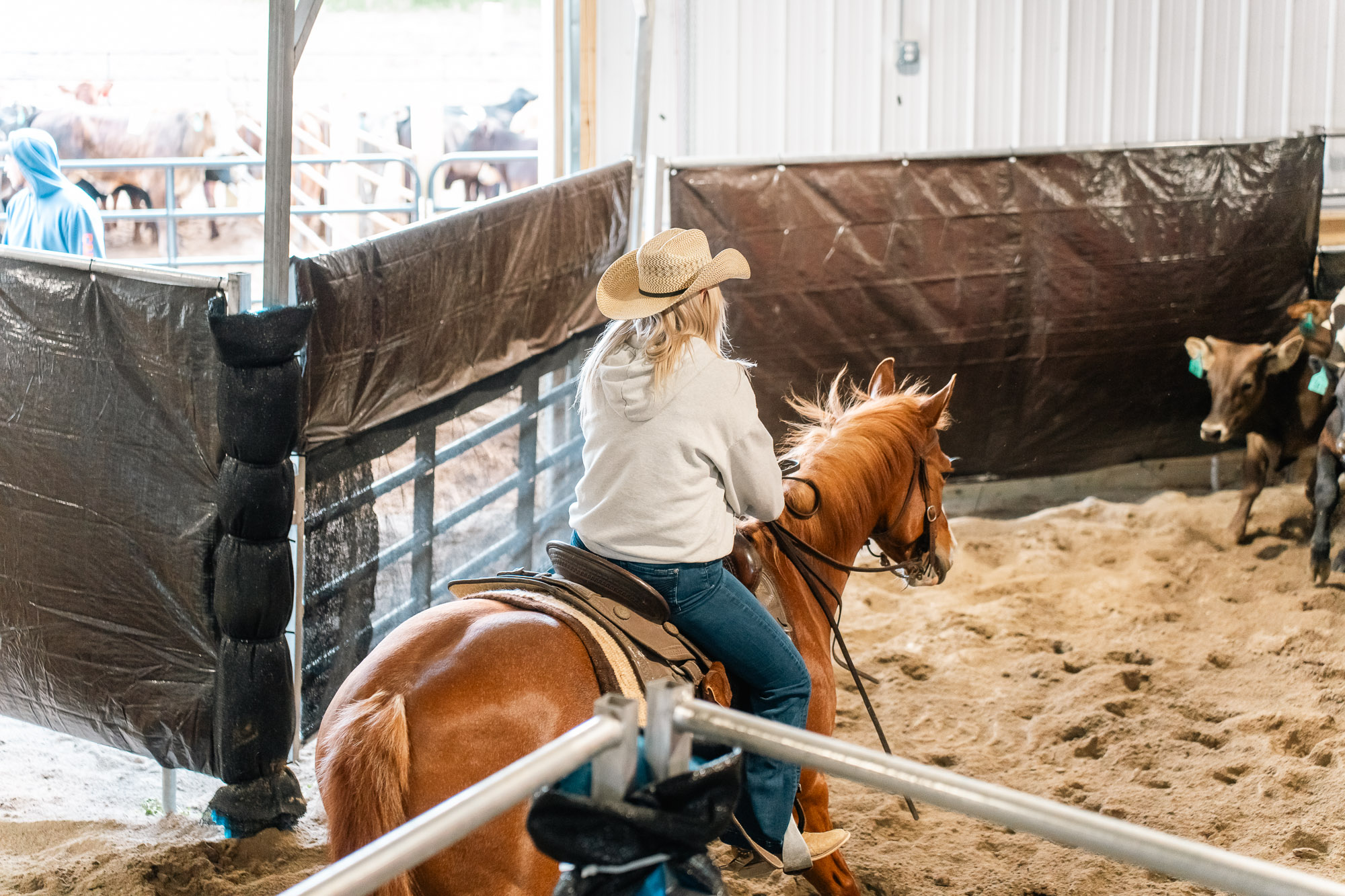 Double L Ranch Ranch Sorting Event - Photo #66
