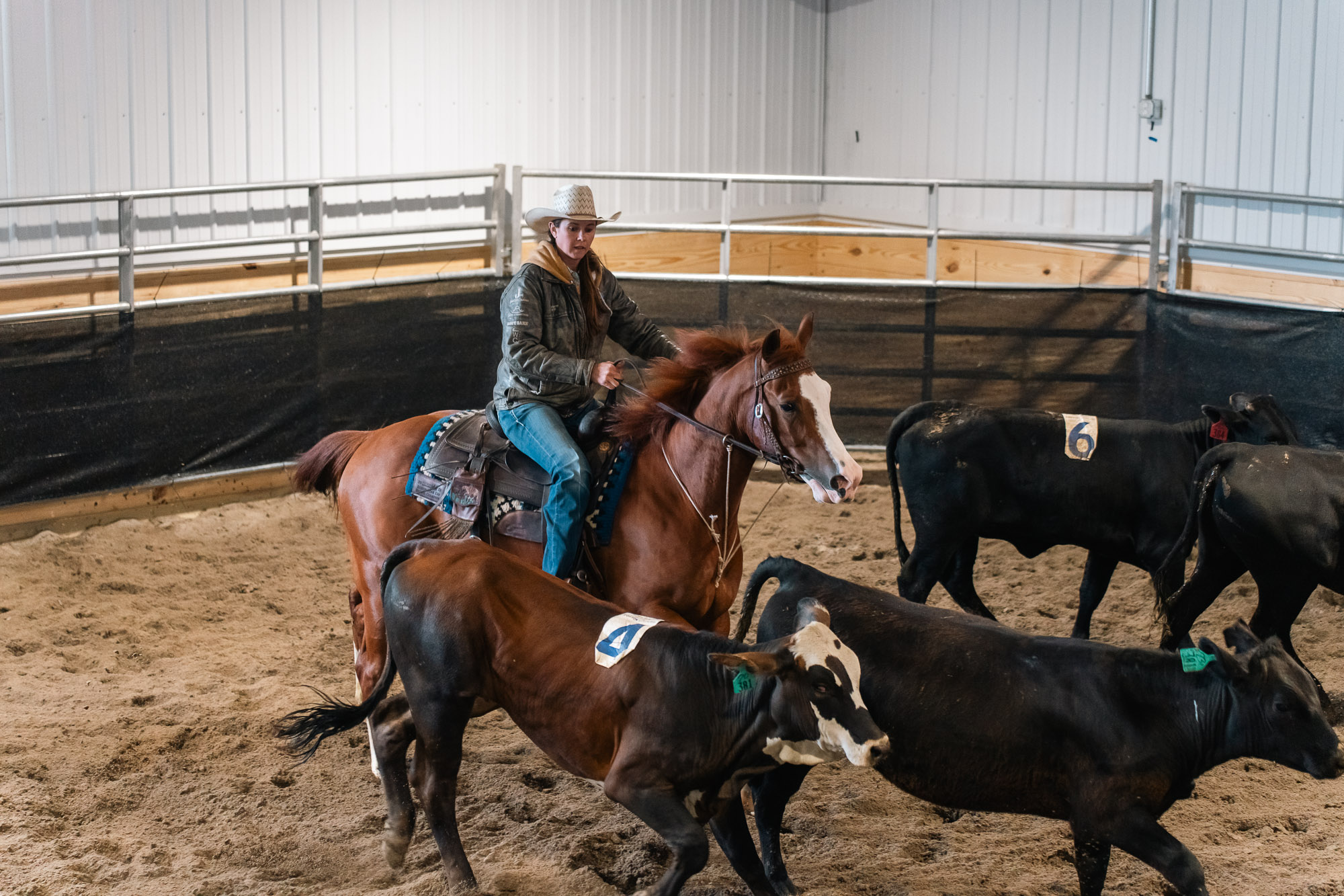 Double L Ranch Ranch Sorting Event - Photo #68