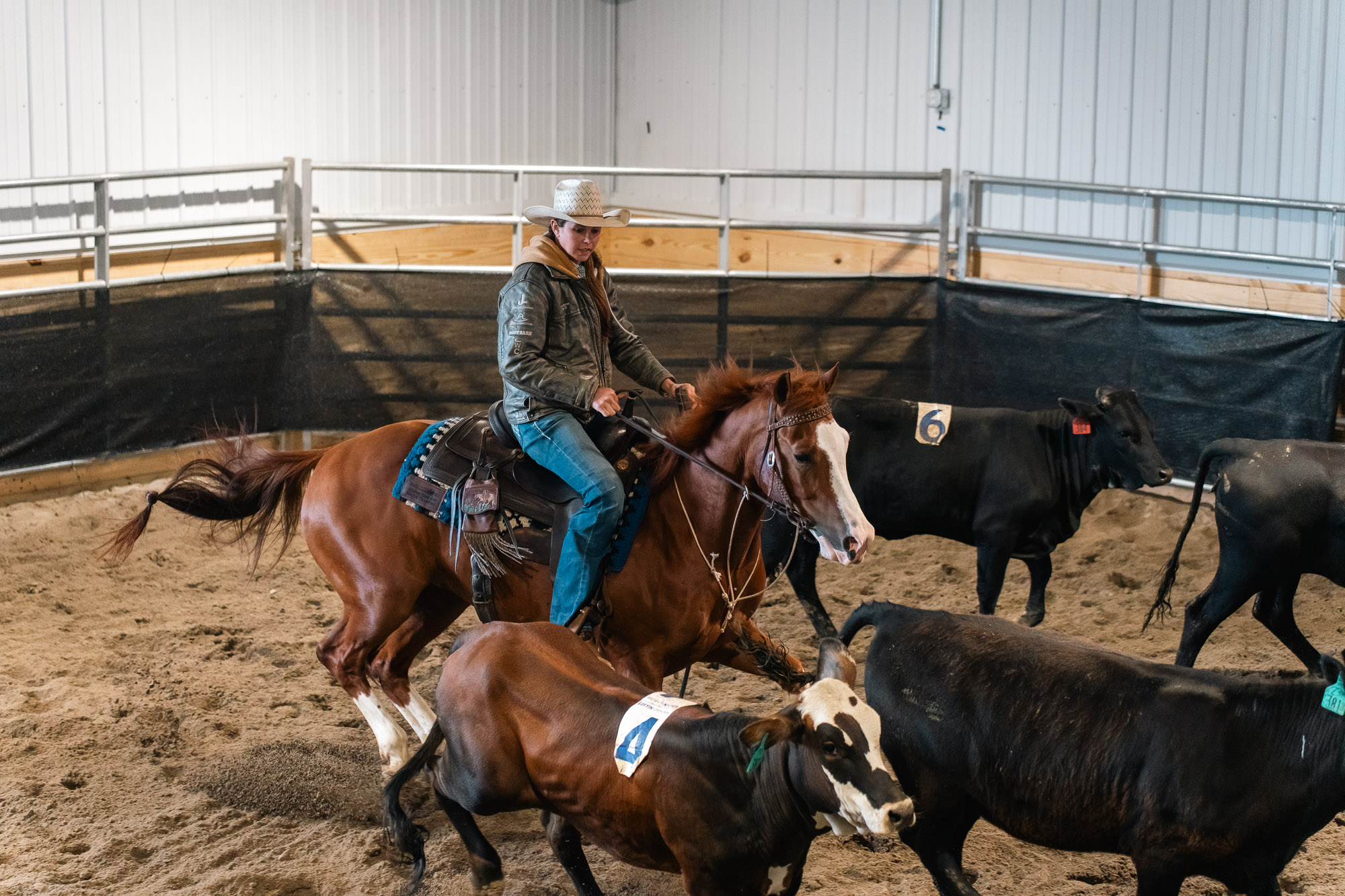 Double L Ranch Ranch Sorting Event - Photo #69