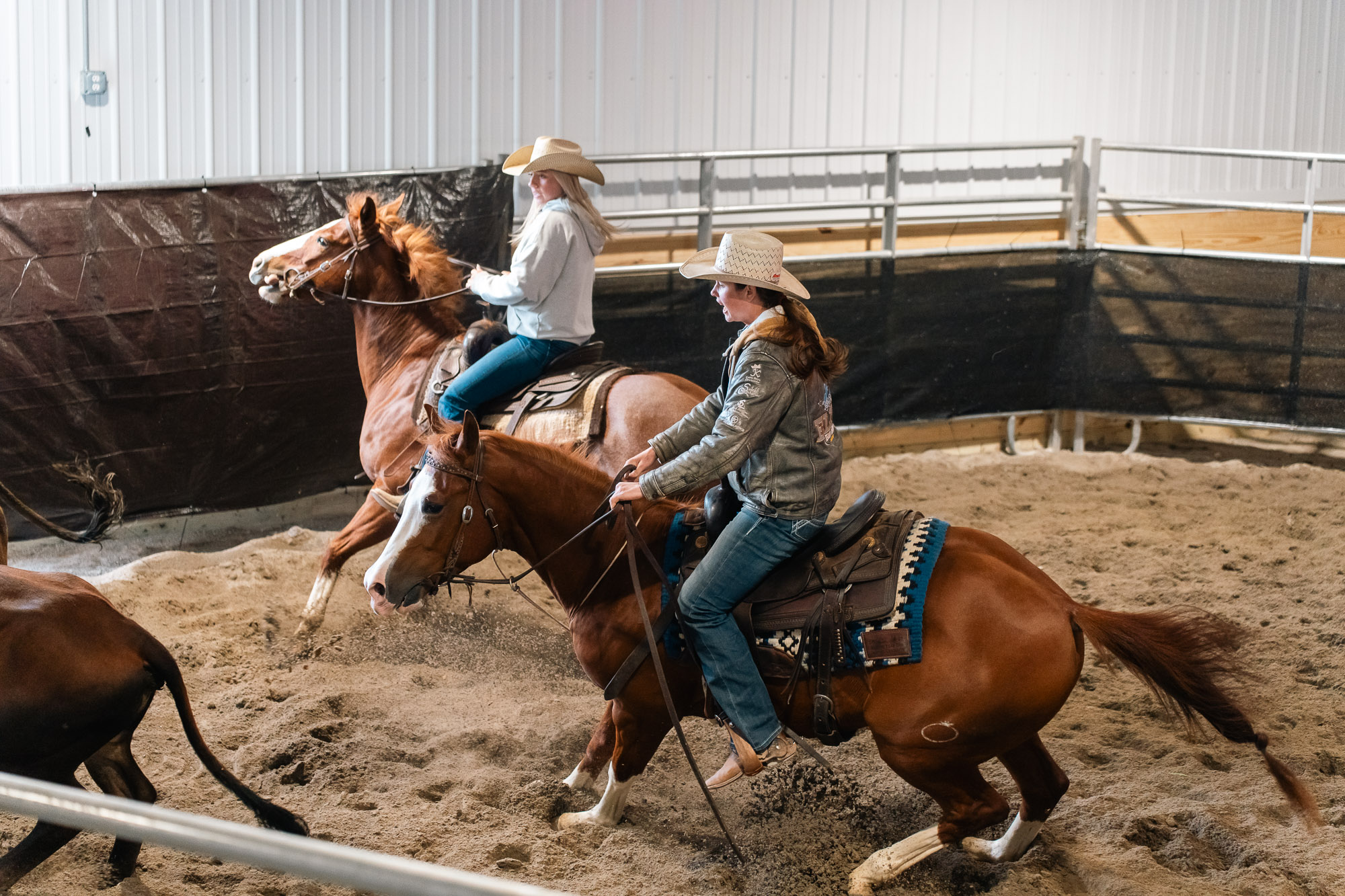 Double L Ranch Ranch Sorting Event - Photo #73