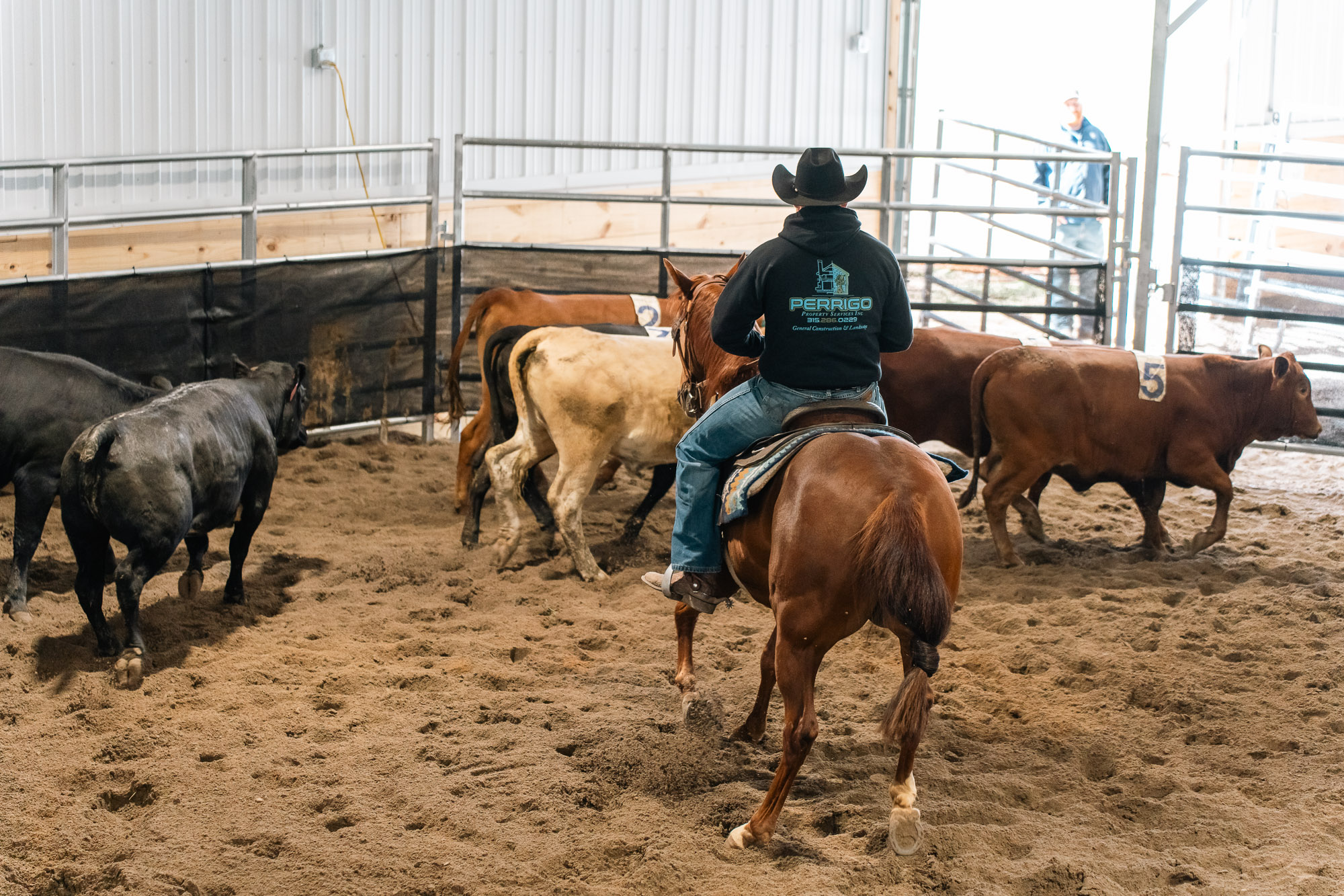 Double L Ranch Ranch Sorting Event - Photo #77