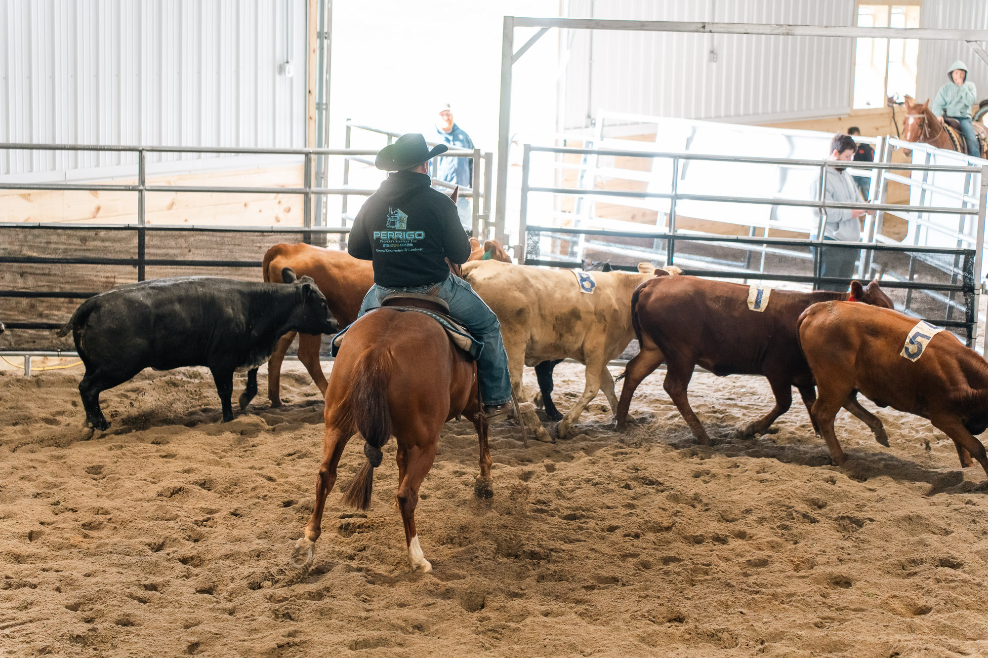 Double L Ranch Ranch Sorting Event - Photo #78