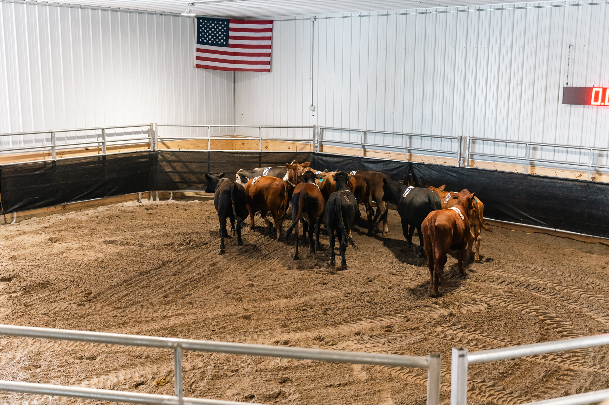 Double L Ranch Ranch Sorting Event - Photo #8