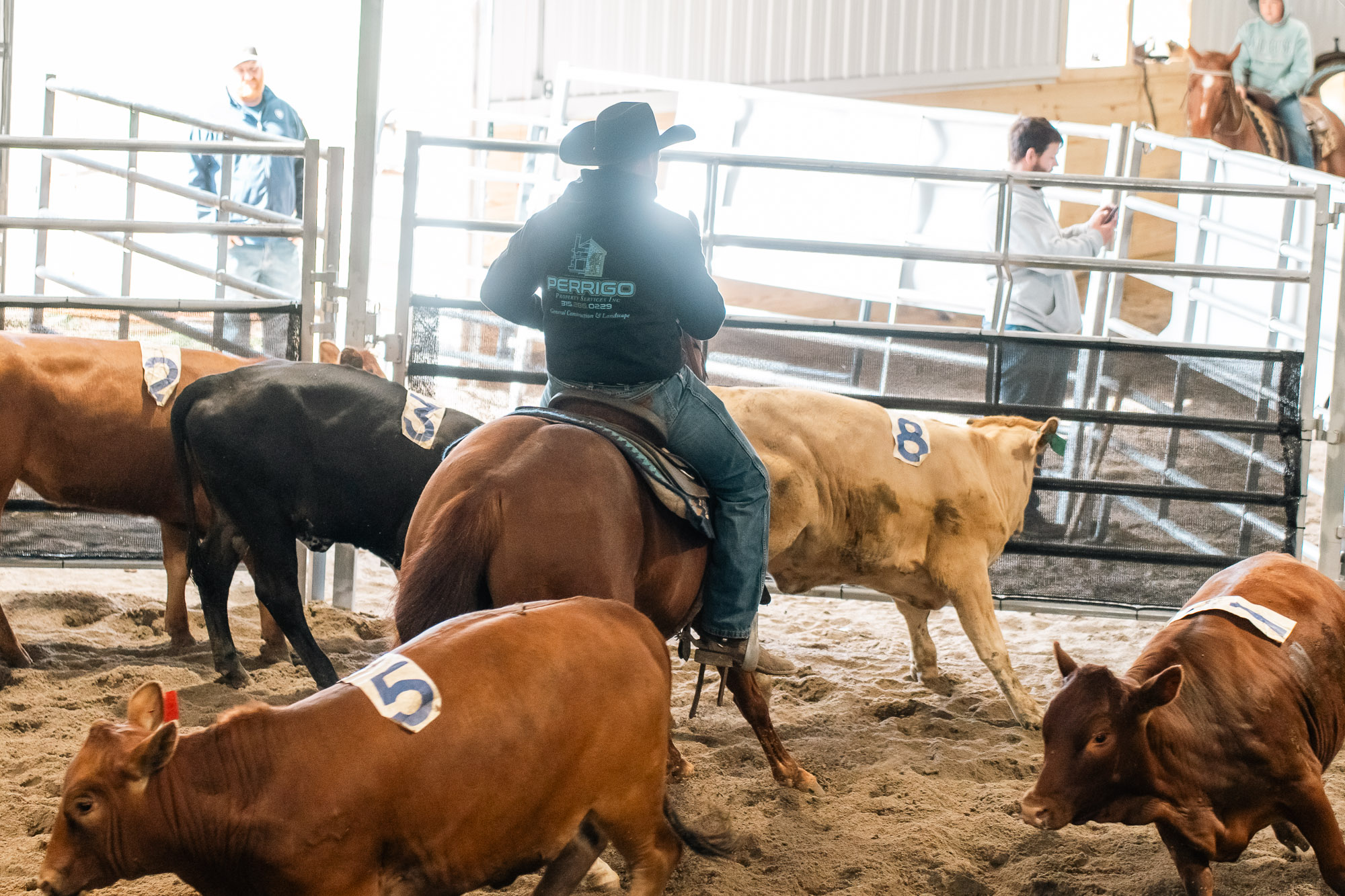 Double L Ranch Ranch Sorting Event - Photo #80